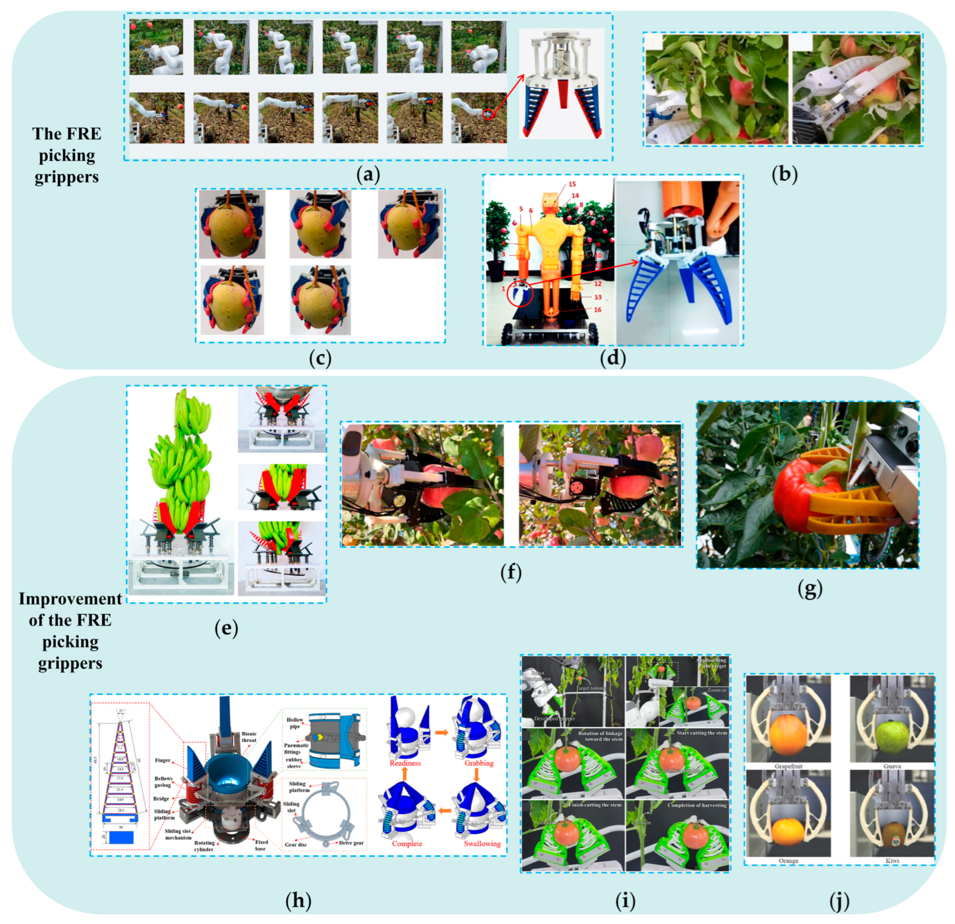 Agronomy 15 02283 g012 Agronomy 15 02283 g012