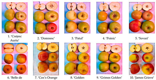 Agronomy 15 02283 i002 Agronomy 15 02283 i002