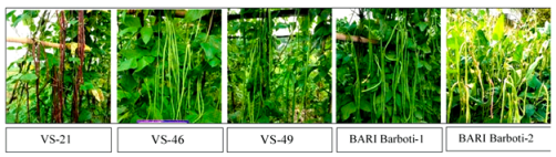 Agronomy 15 02283 i007 Agronomy 15 02283 i007