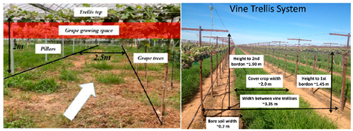 Agronomy 15 02283 i008 Agronomy 15 02283 i008