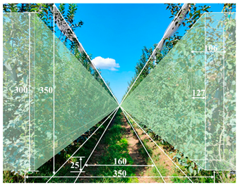 Agronomy 15 02283 i009 Agronomy 15 02283 i009