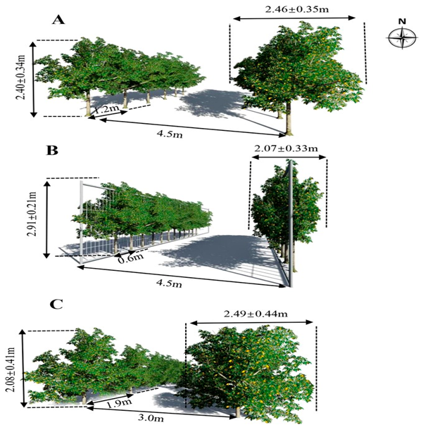 Agronomy 15 02283 i014 Agronomy 15 02283 i014