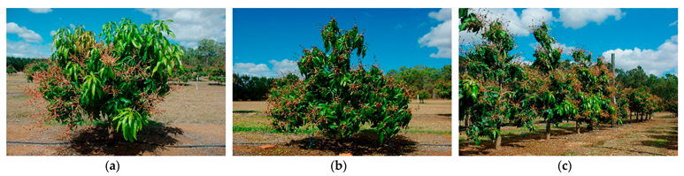 Agronomy 15 02283 i015 Agronomy 15 02283 i015