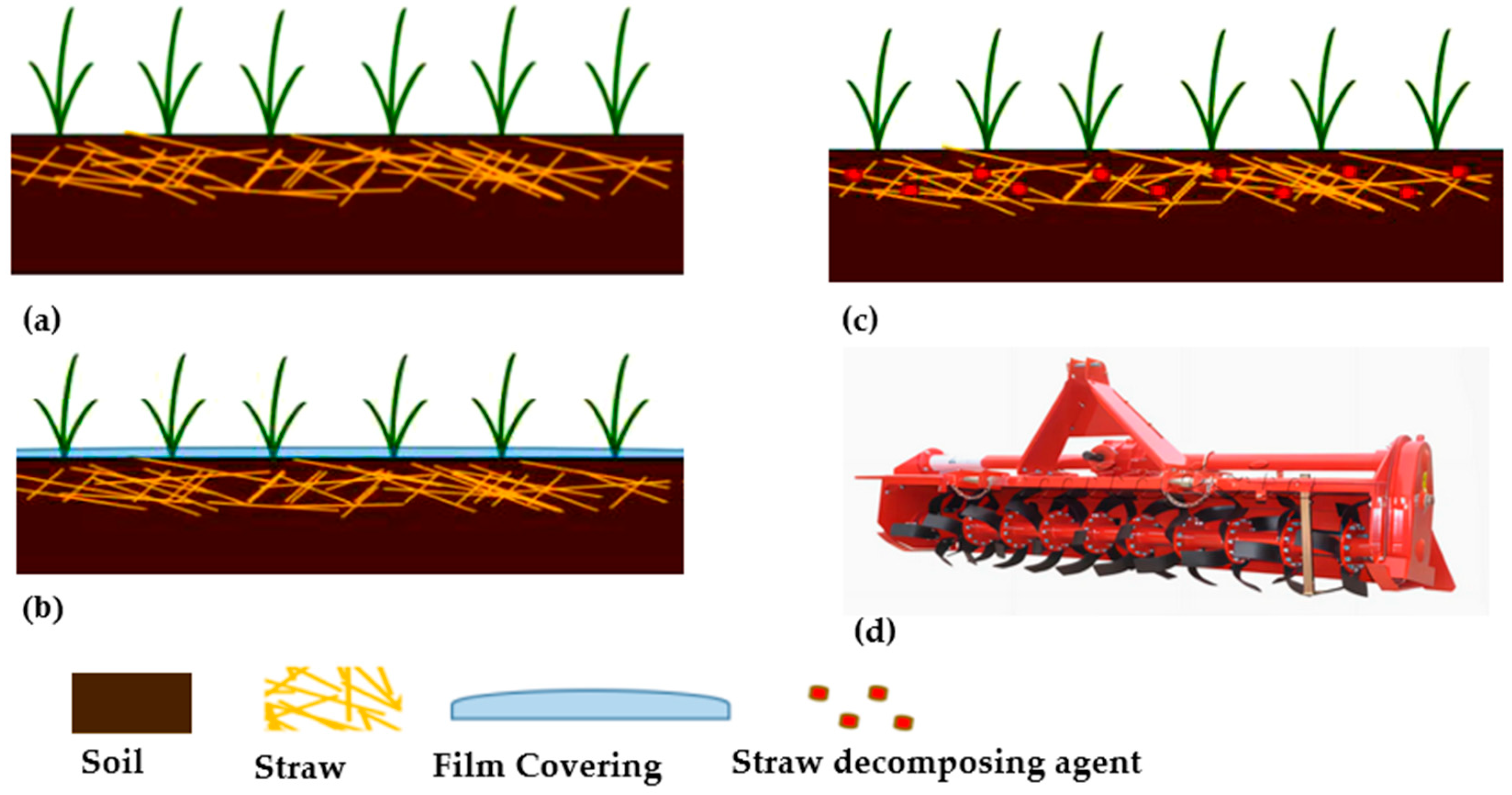 Agronomy 15 02288 g004