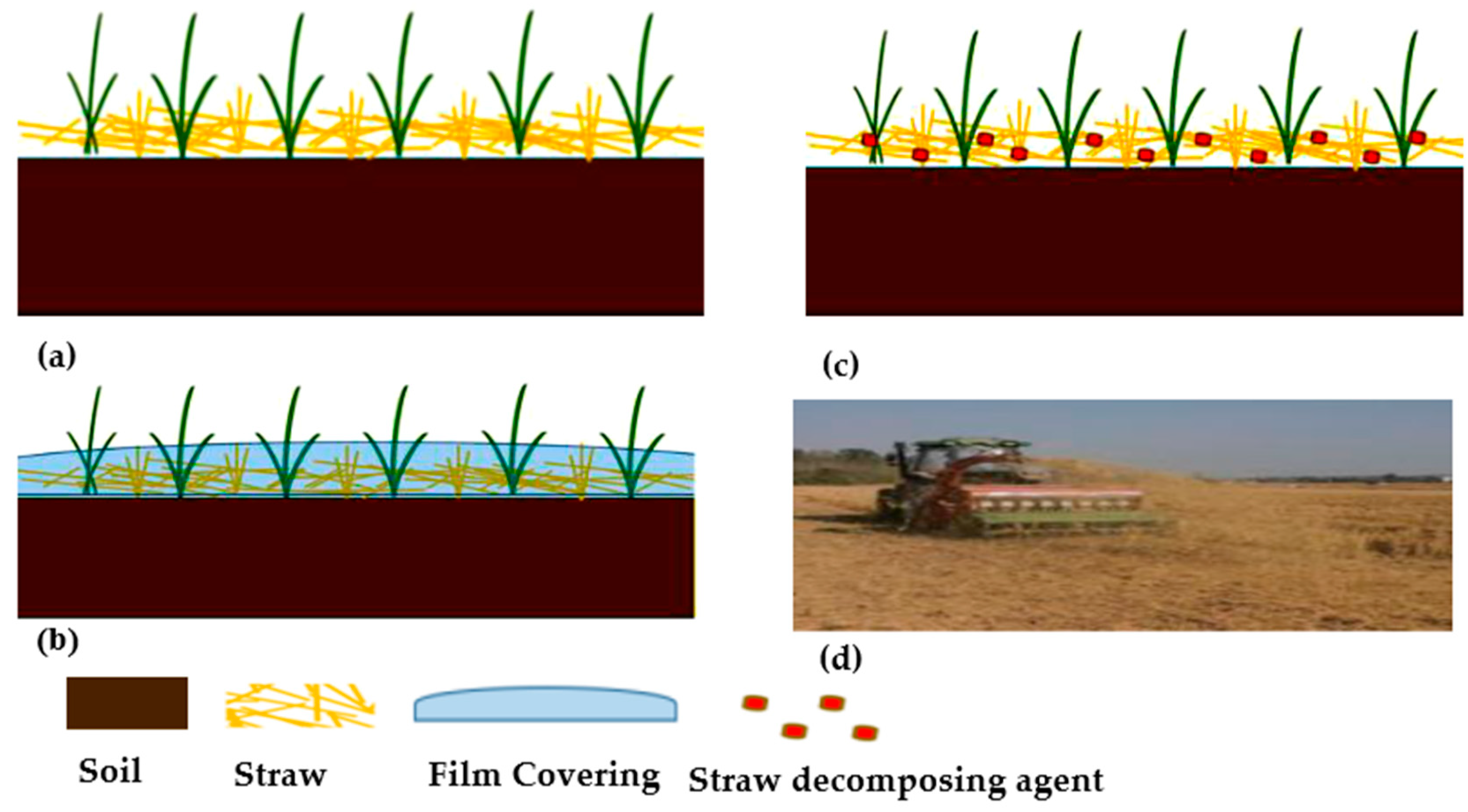 Agronomy 15 02288 g006