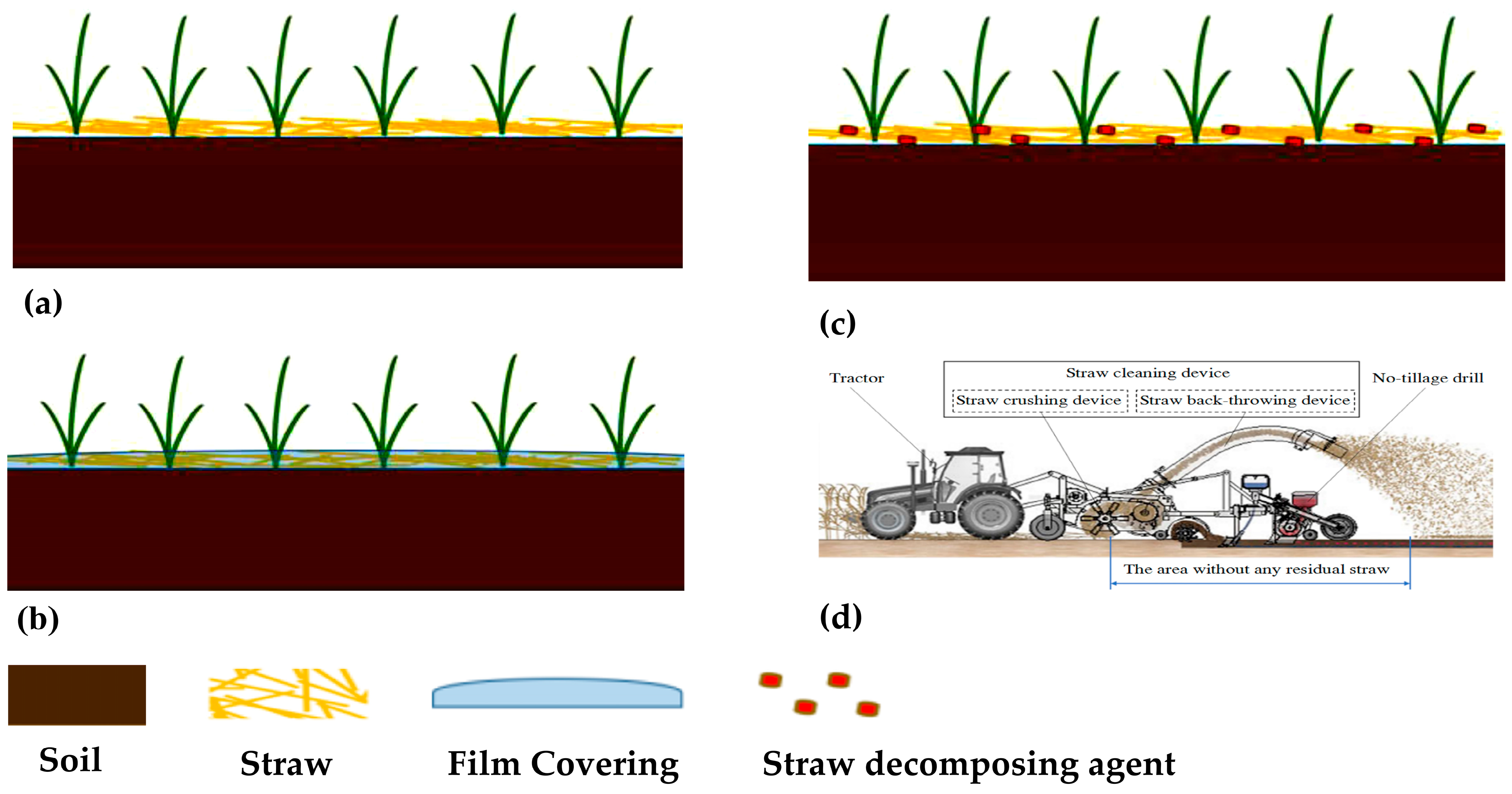 Agronomy 15 02288 g007