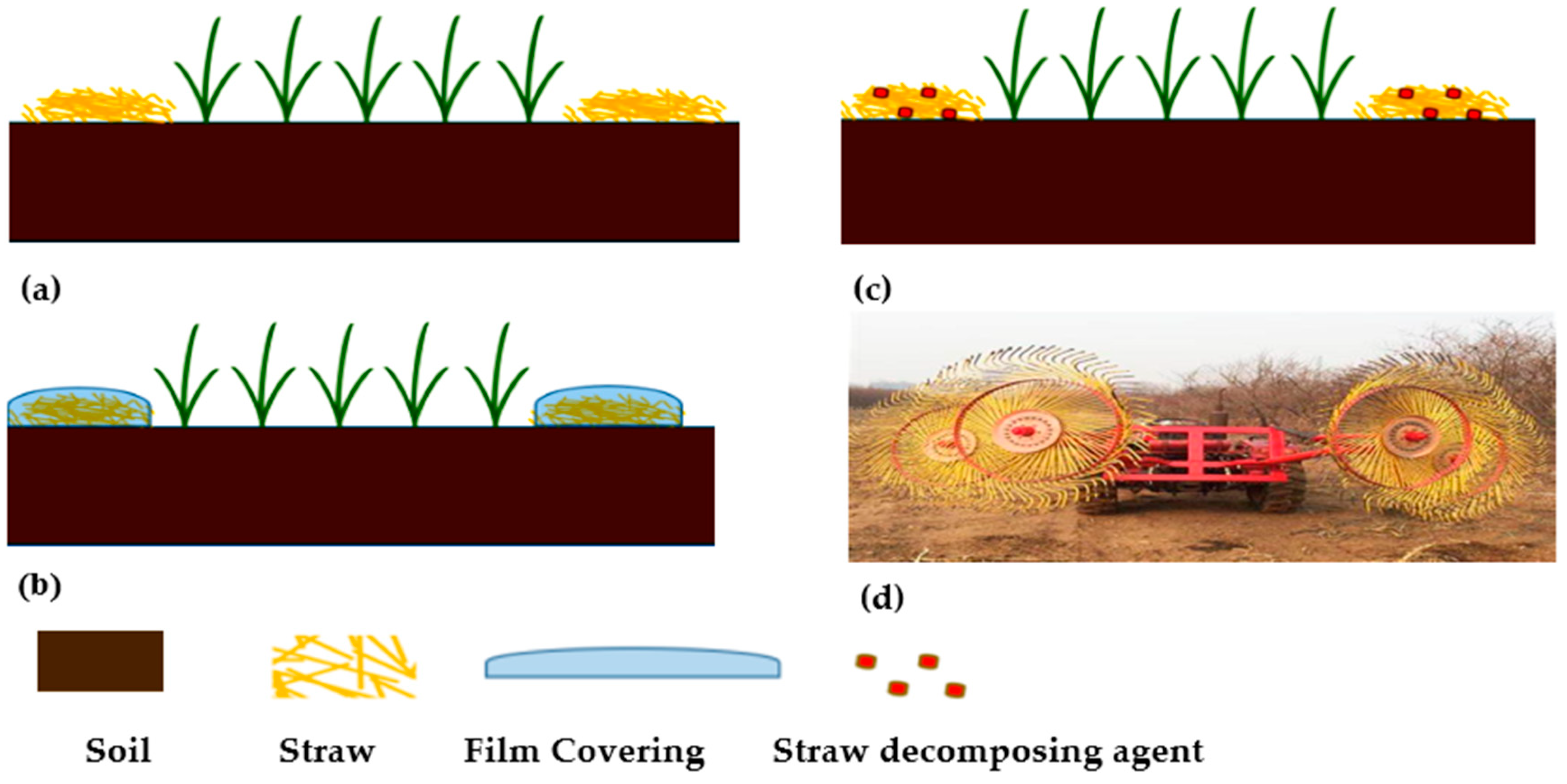 Agronomy 15 02288 g009