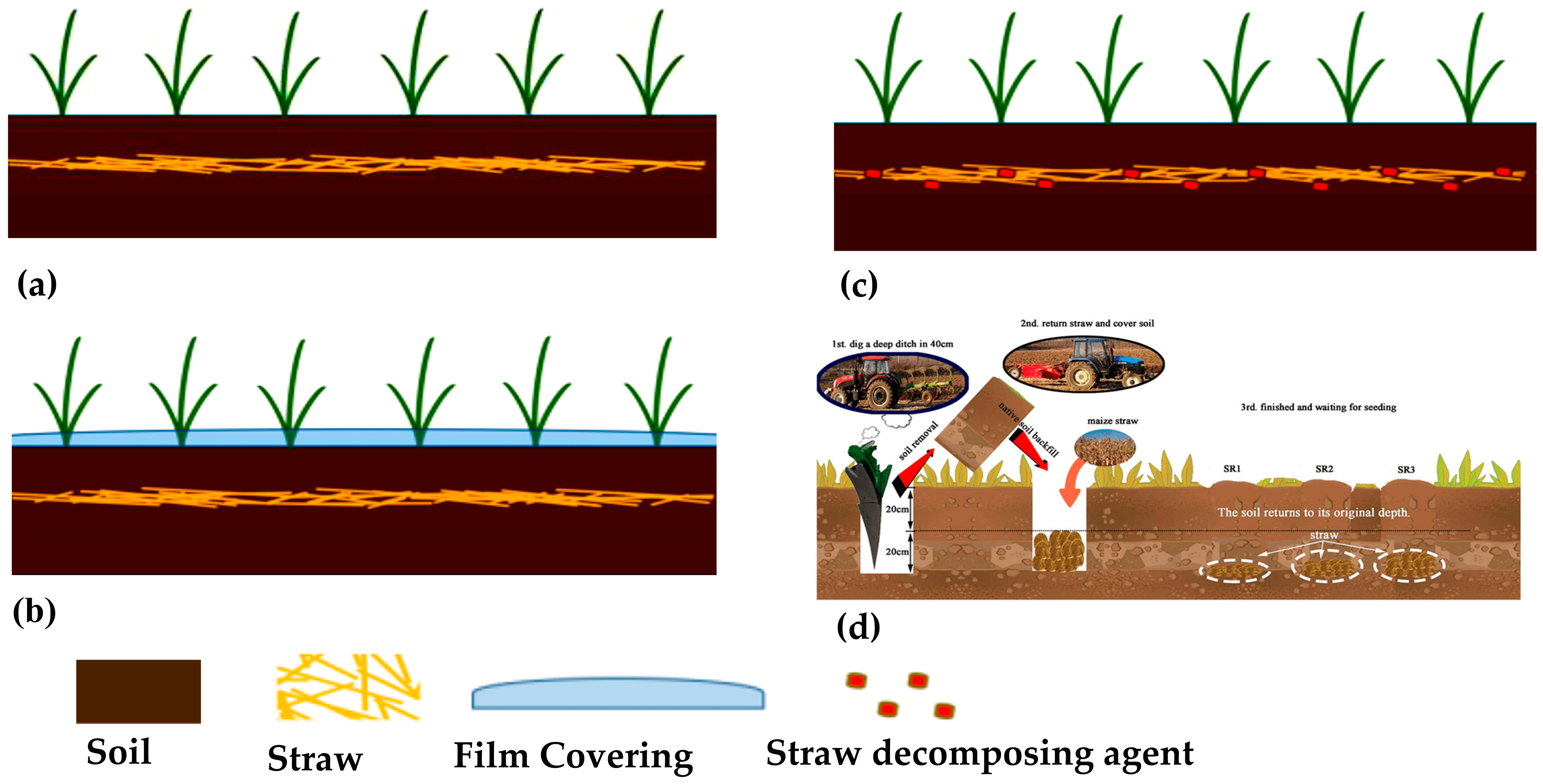 Agronomy 15 02288 g010