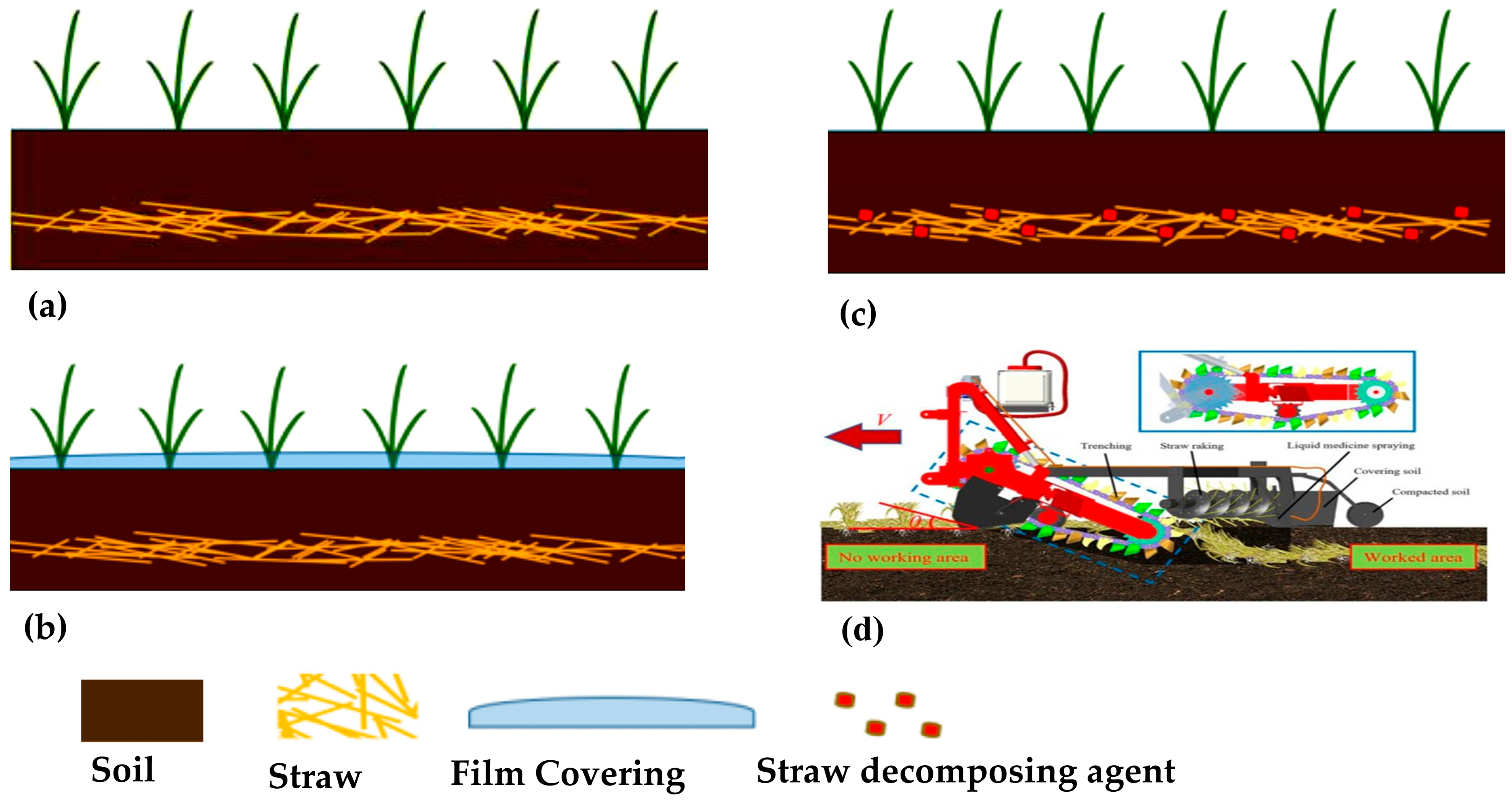 Agronomy 15 02288 g011