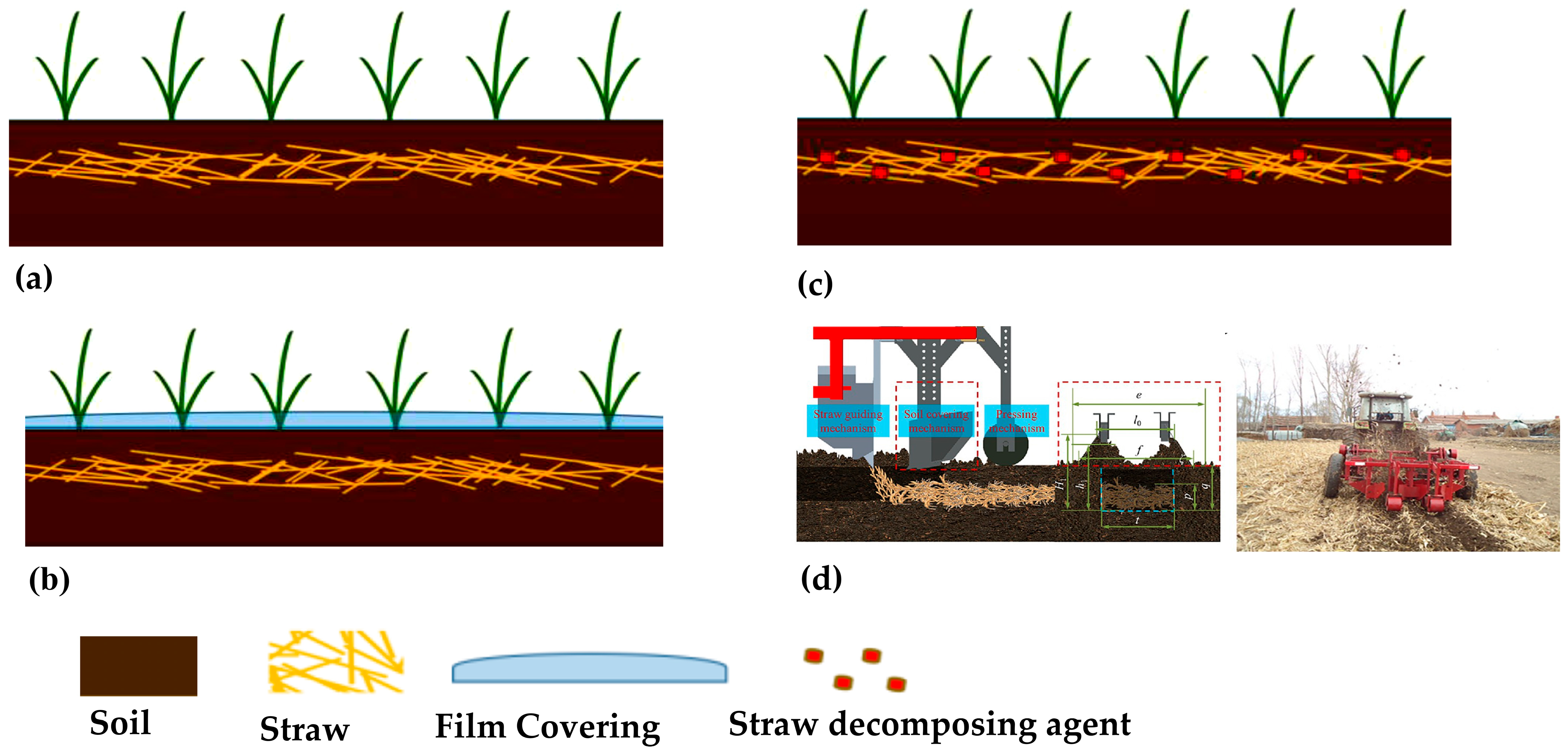 Agronomy 15 02288 g012