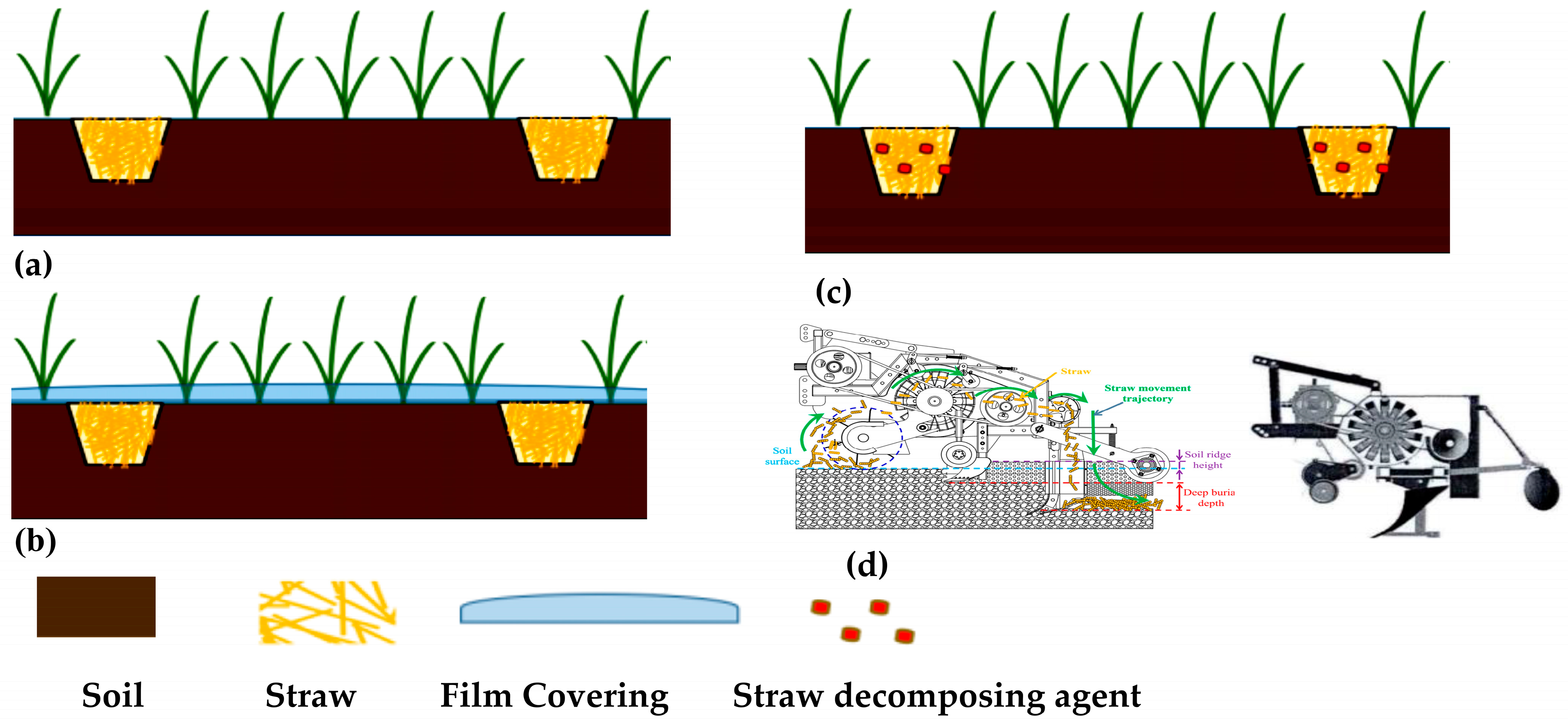 Agronomy 15 02288 g013