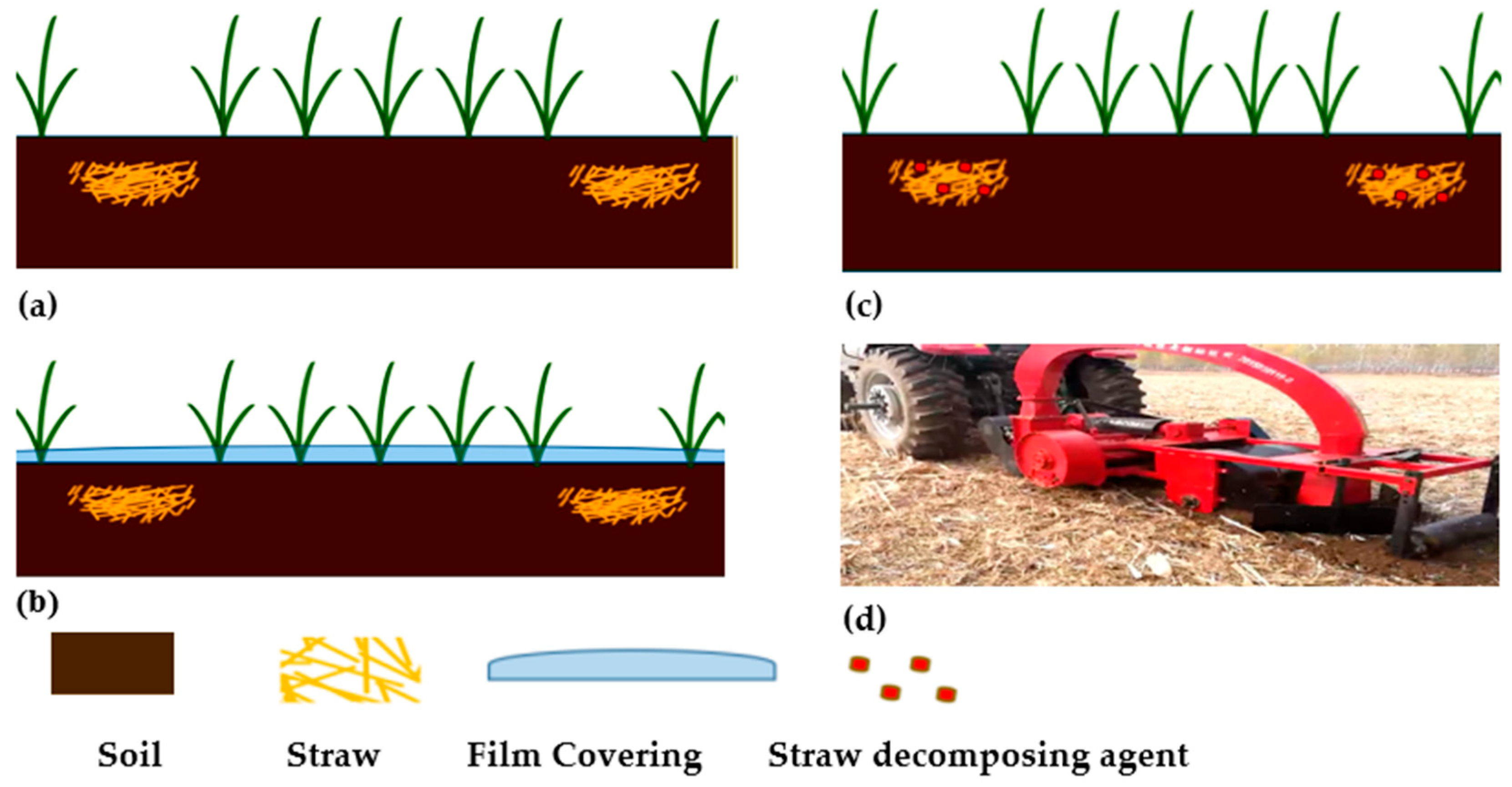 Agronomy 15 02288 g014