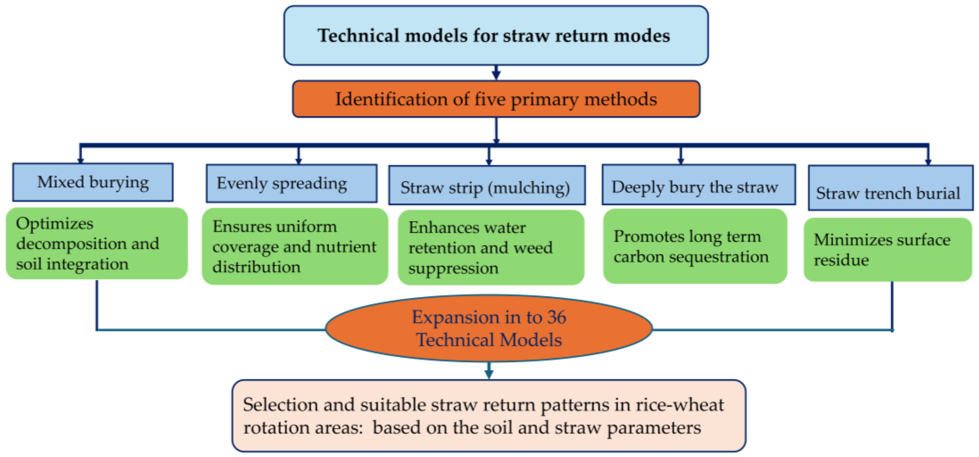 Agronomy 15 02288 g016
