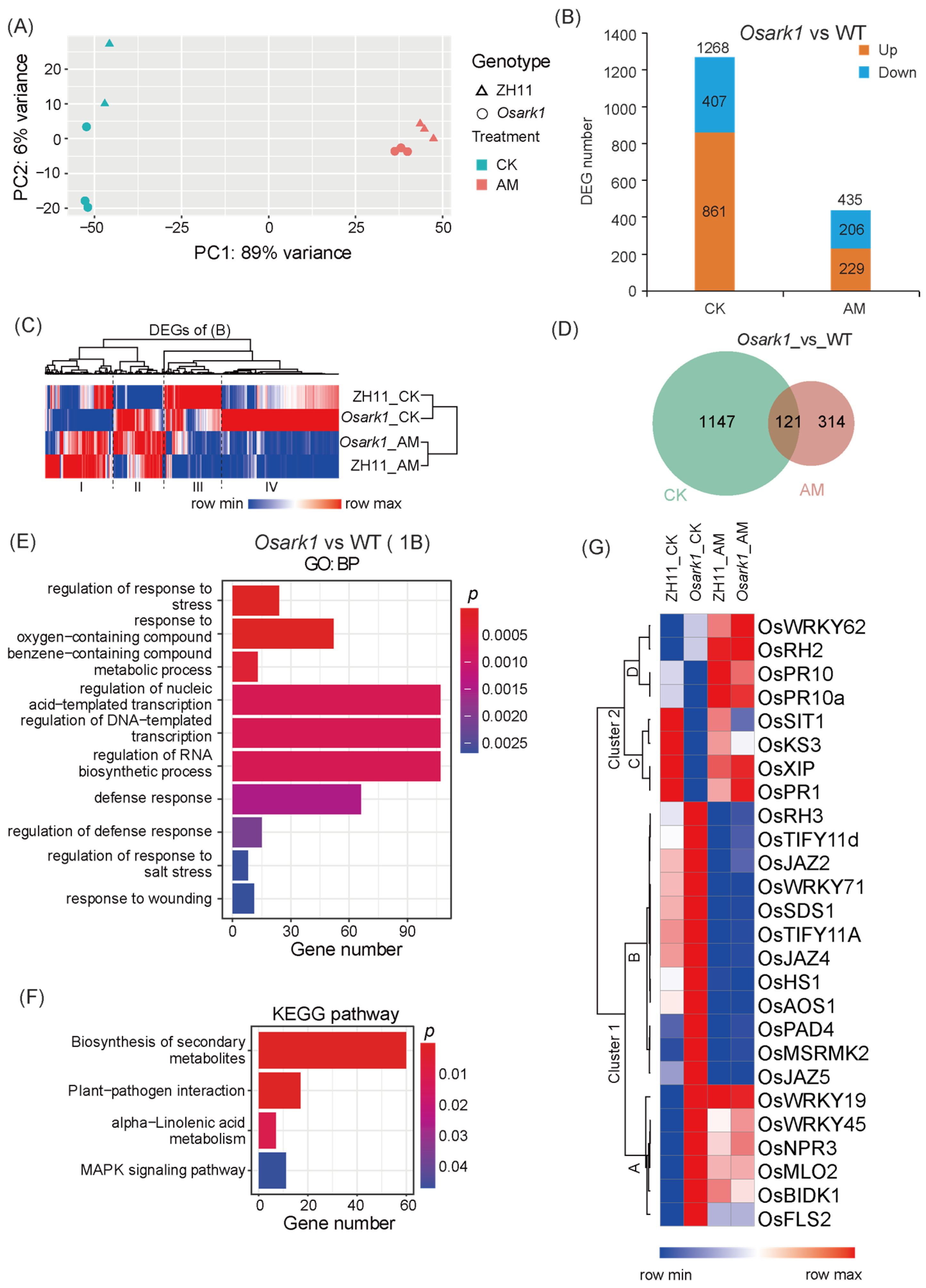 Agronomy 15 02298 g001 Agronomy 15 02298 g001
