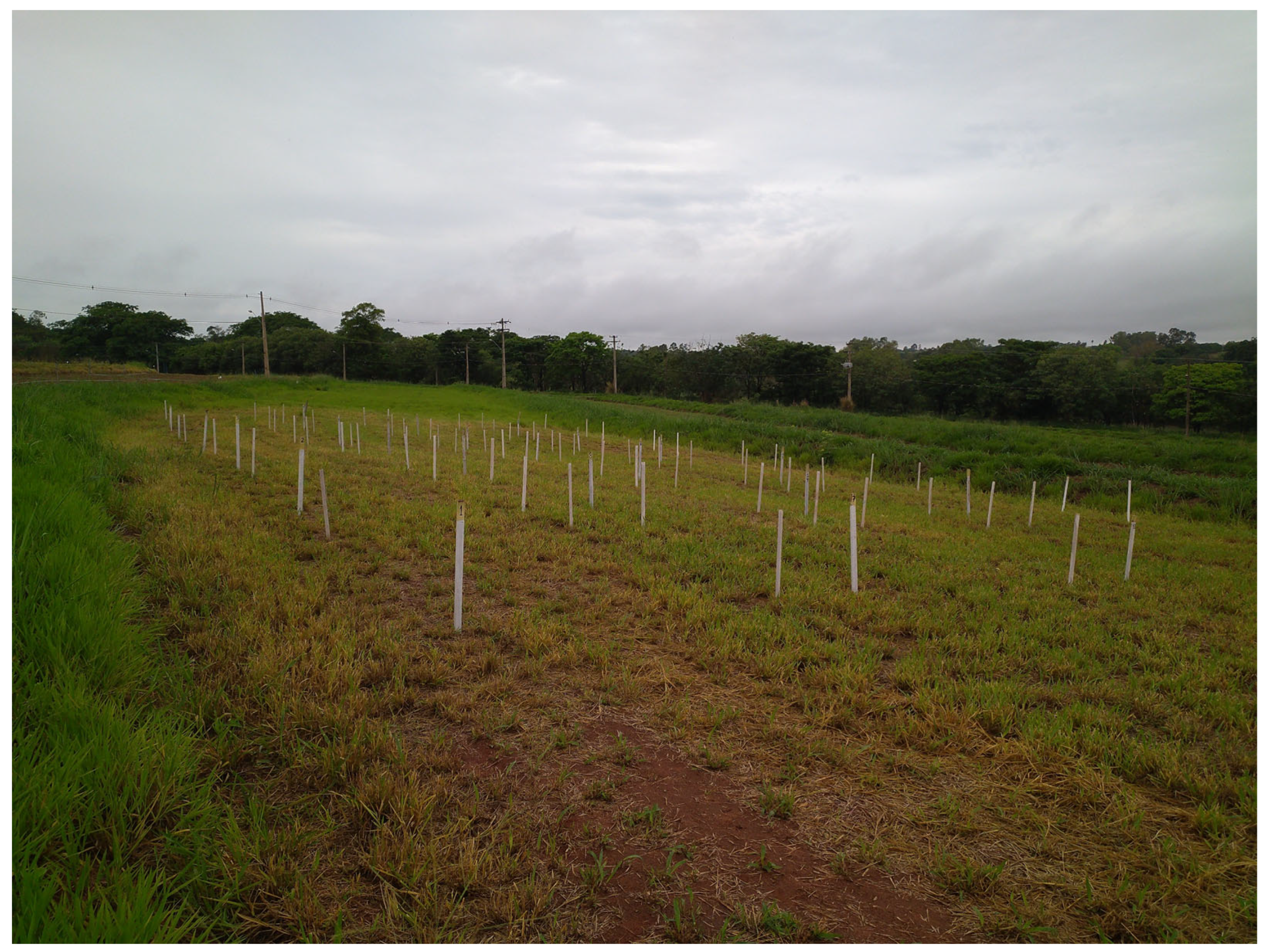 Agronomy 15 02300 g001 Agronomy 15 02300 g001