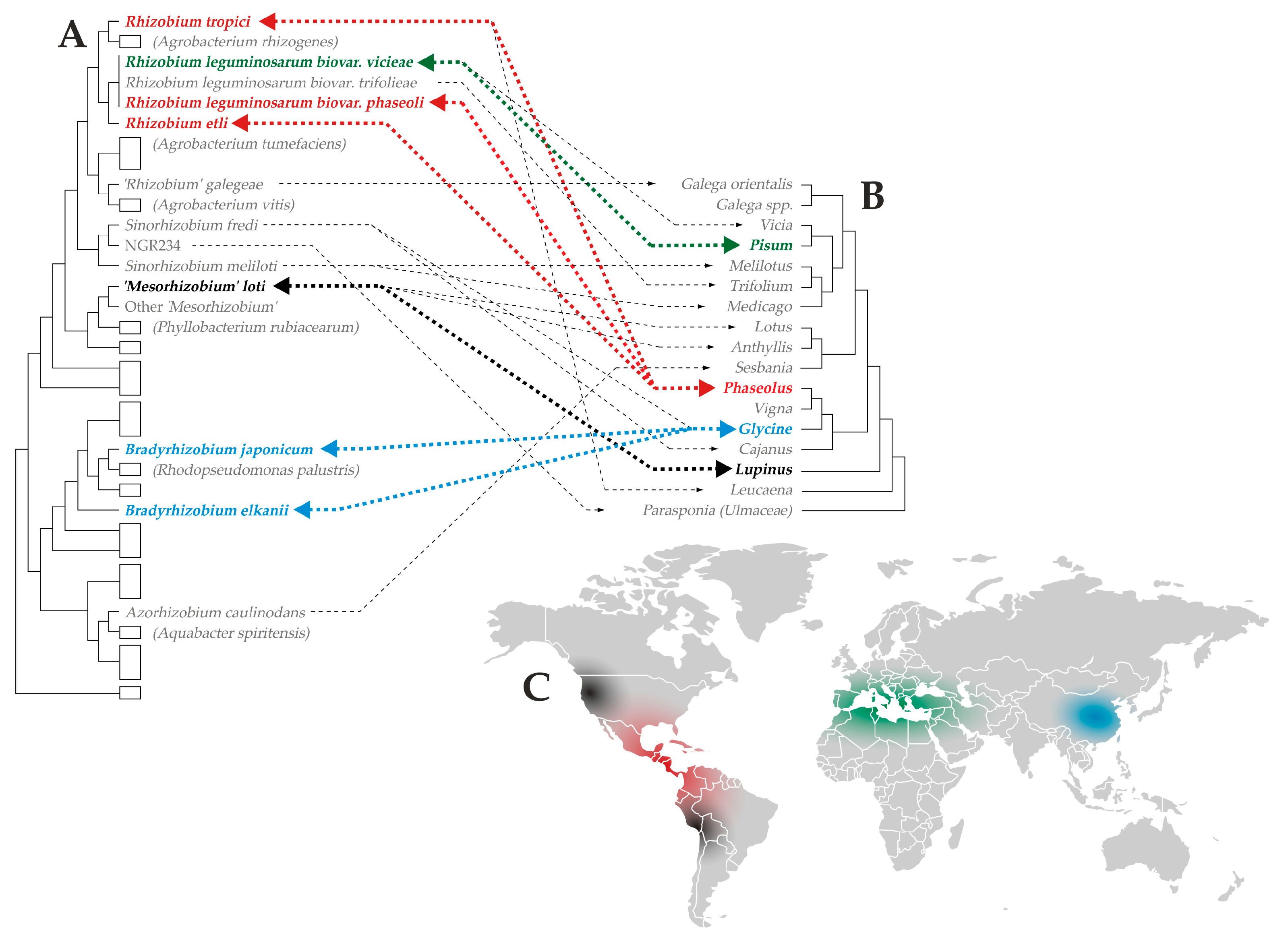 Agronomy 15 02303 g001 Agronomy 15 02303 g001
