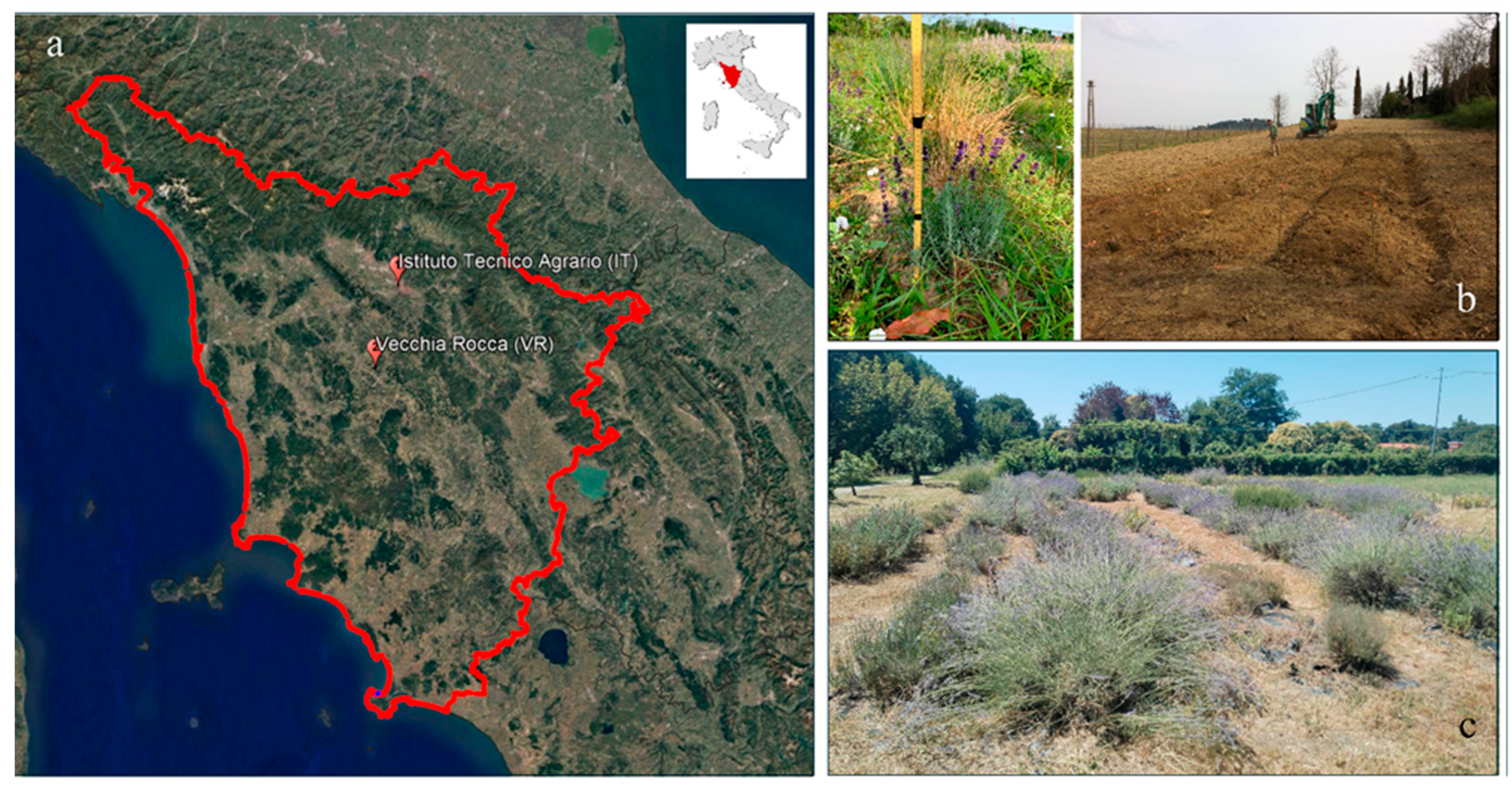 Agronomy 15 02310 g001