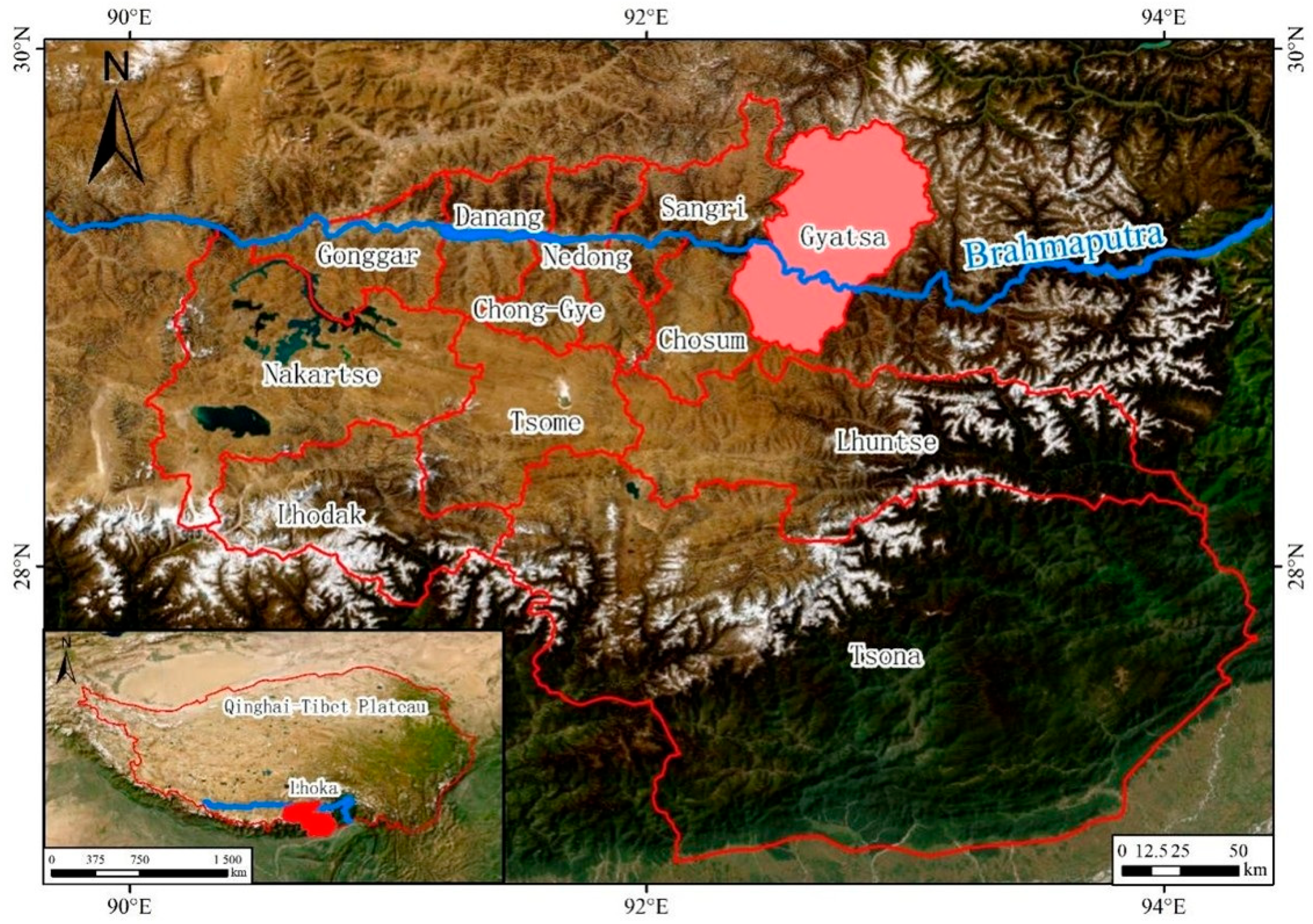 Agronomy 15 02317 g001 Agronomy 15 02317 g001