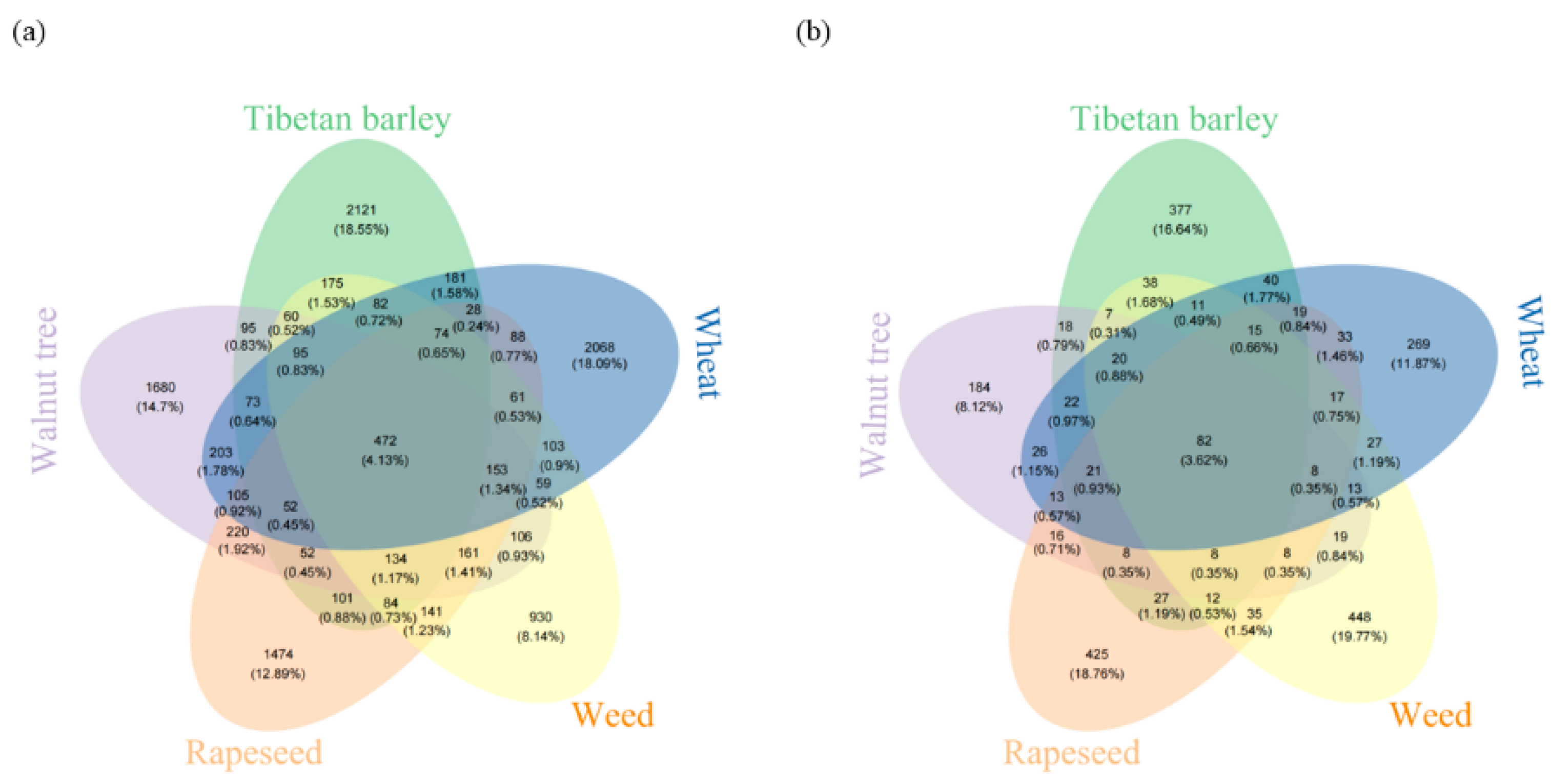 Agronomy 15 02317 g007 Agronomy 15 02317 g007