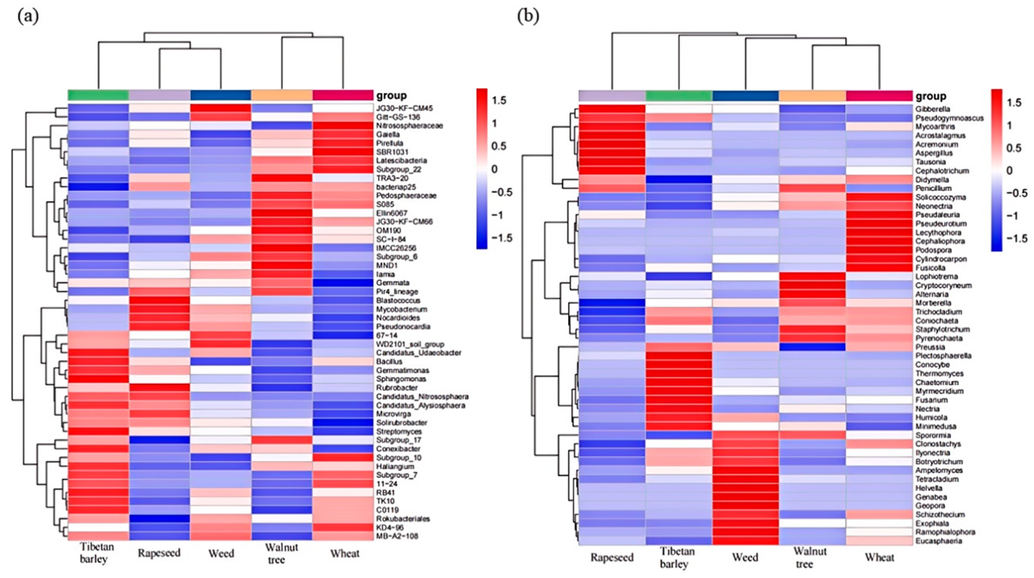 Agronomy 15 02317 g010 Agronomy 15 02317 g010