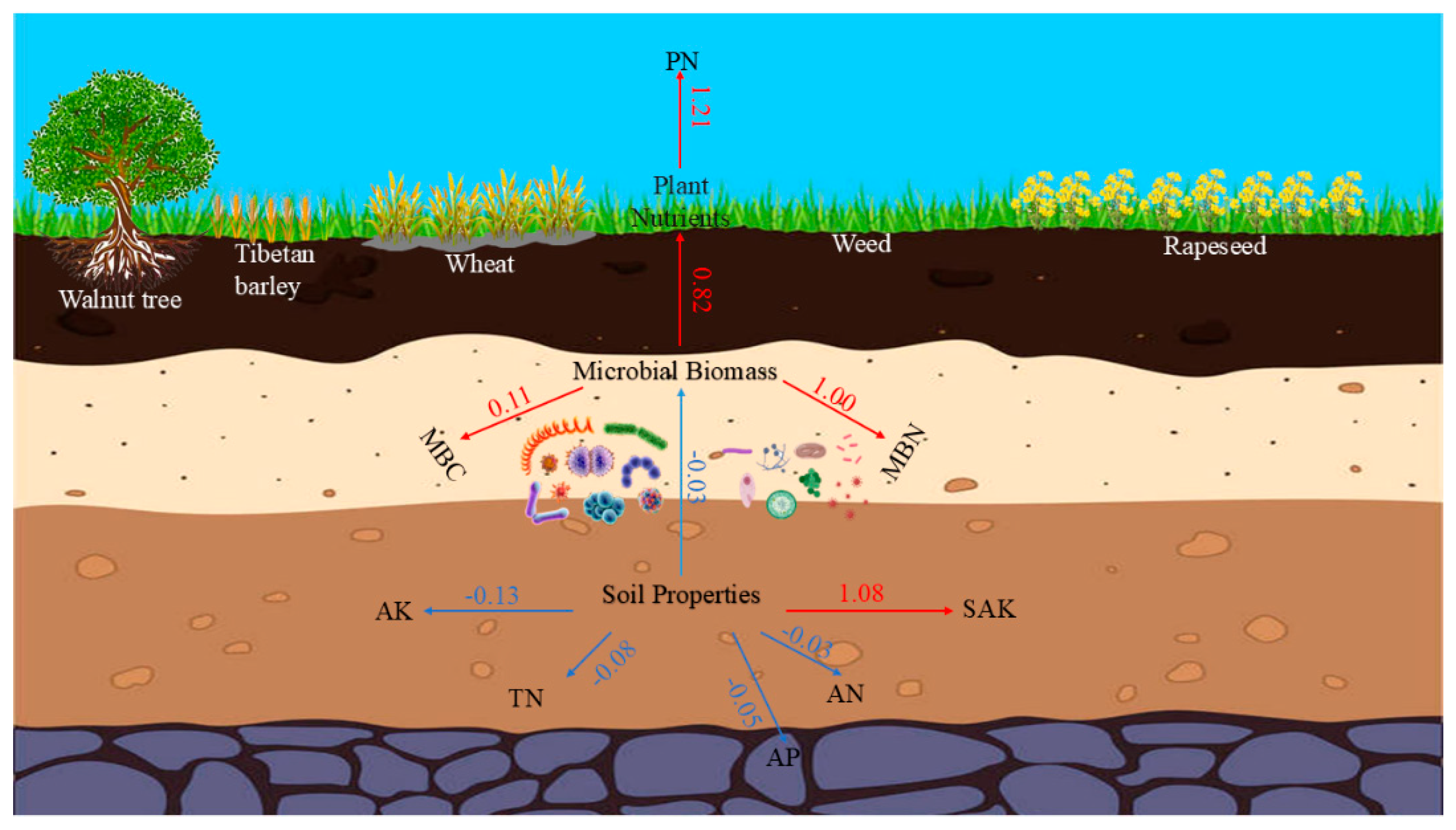 Agronomy 15 02317 g011 Agronomy 15 02317 g011