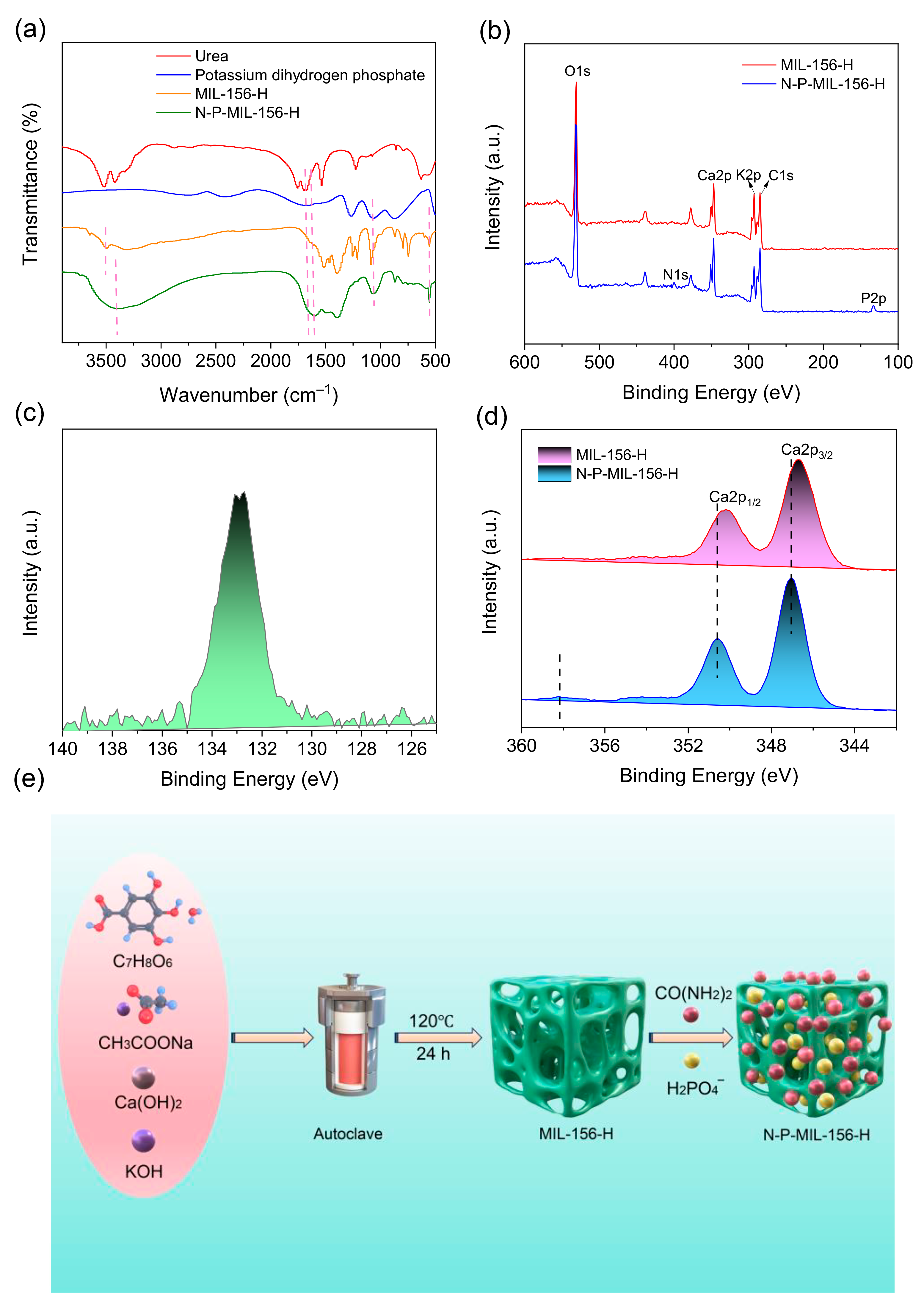 Agronomy 15 02334 g005