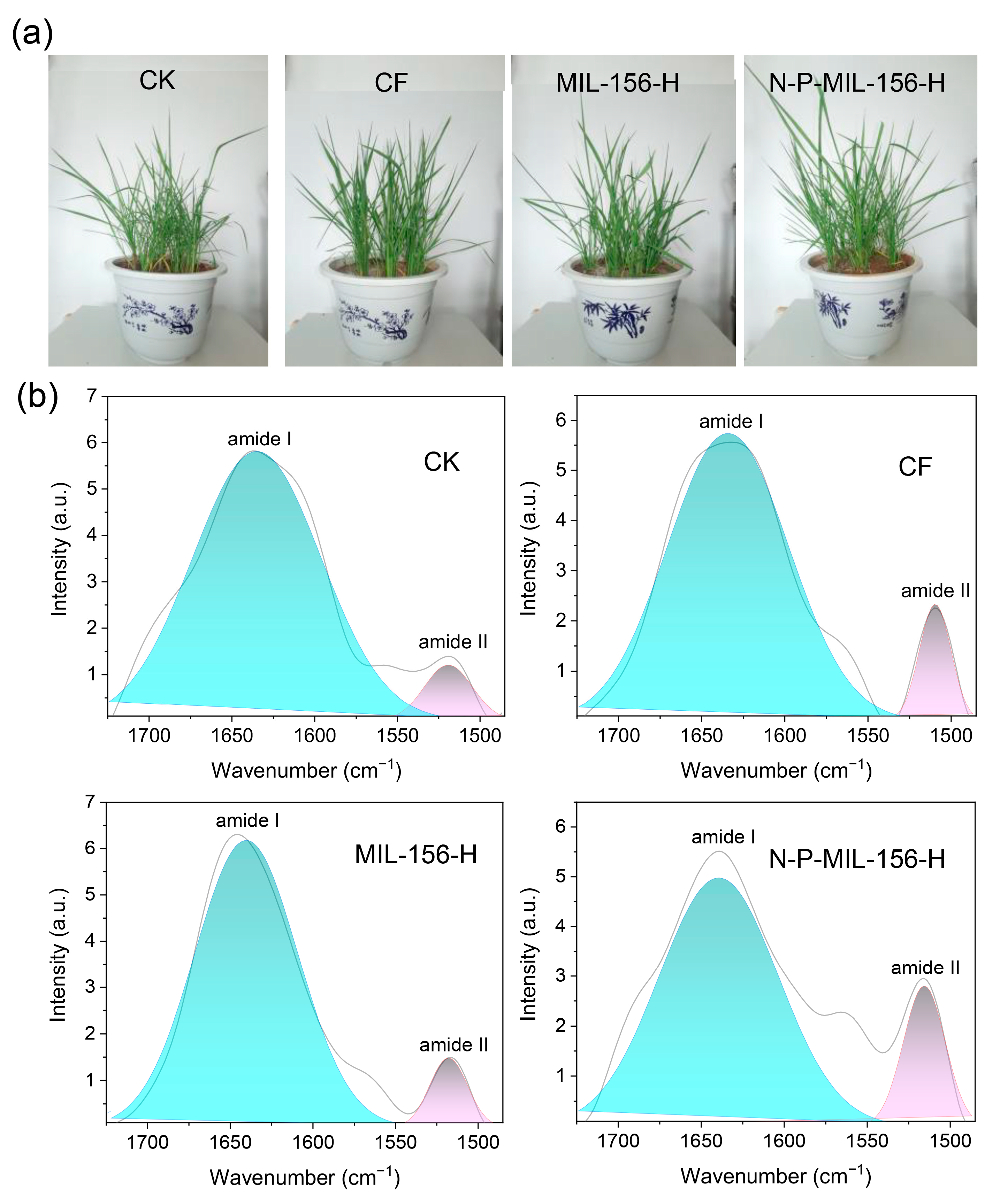 Agronomy 15 02334 g007