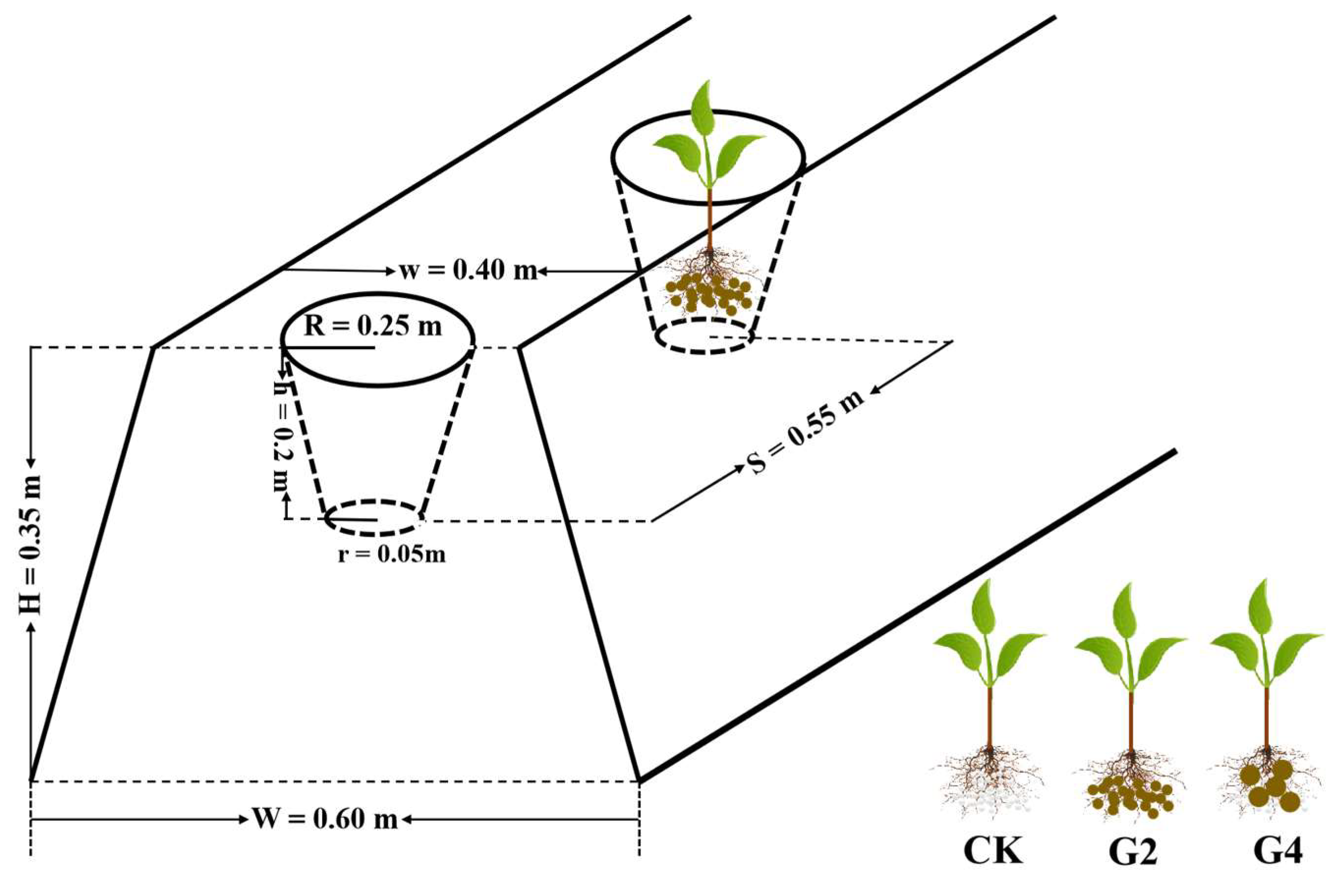 Agronomy 15 02345 g001 Agronomy 15 02345 g001