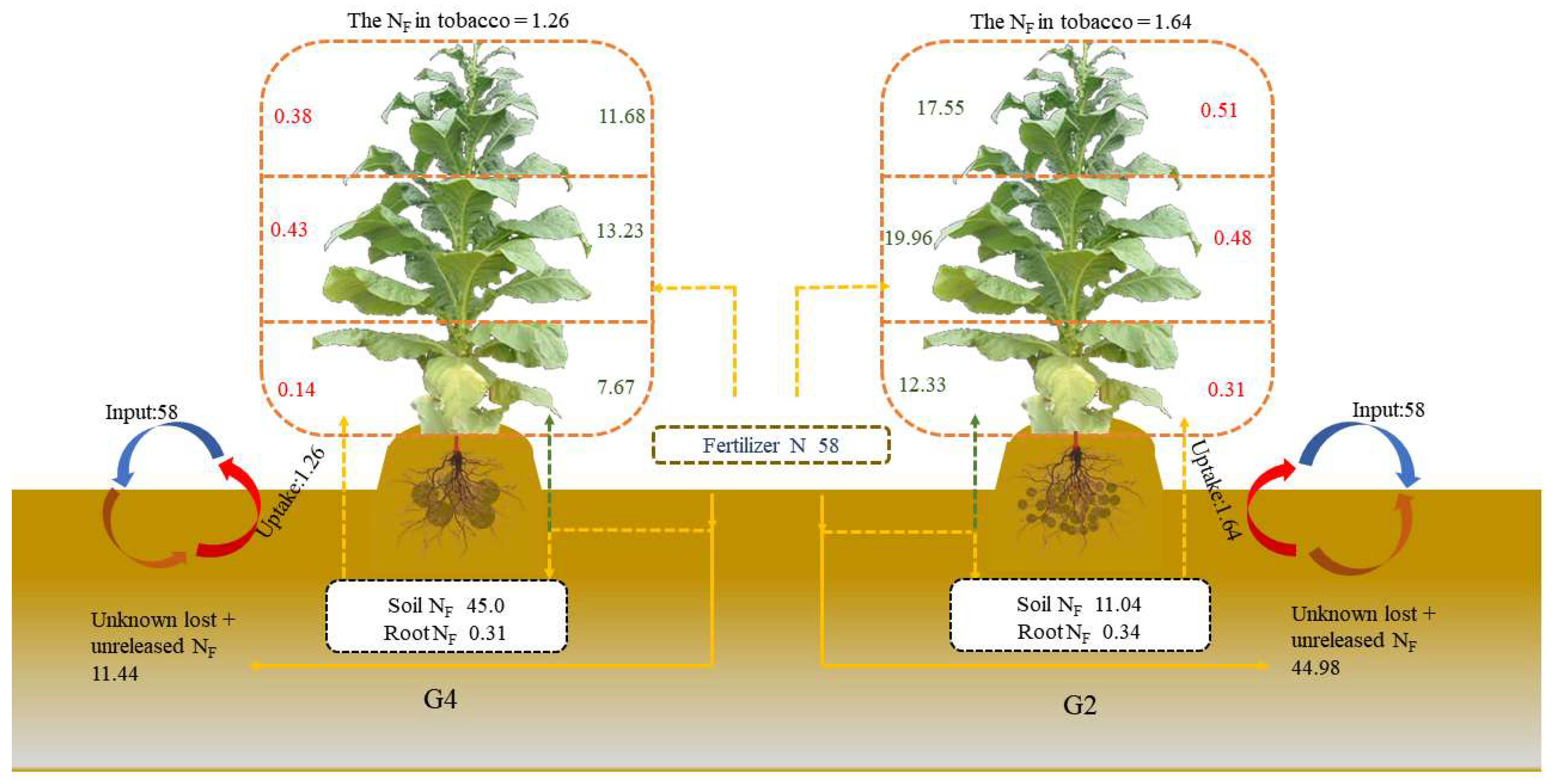Agronomy 15 02345 g004 Agronomy 15 02345 g004