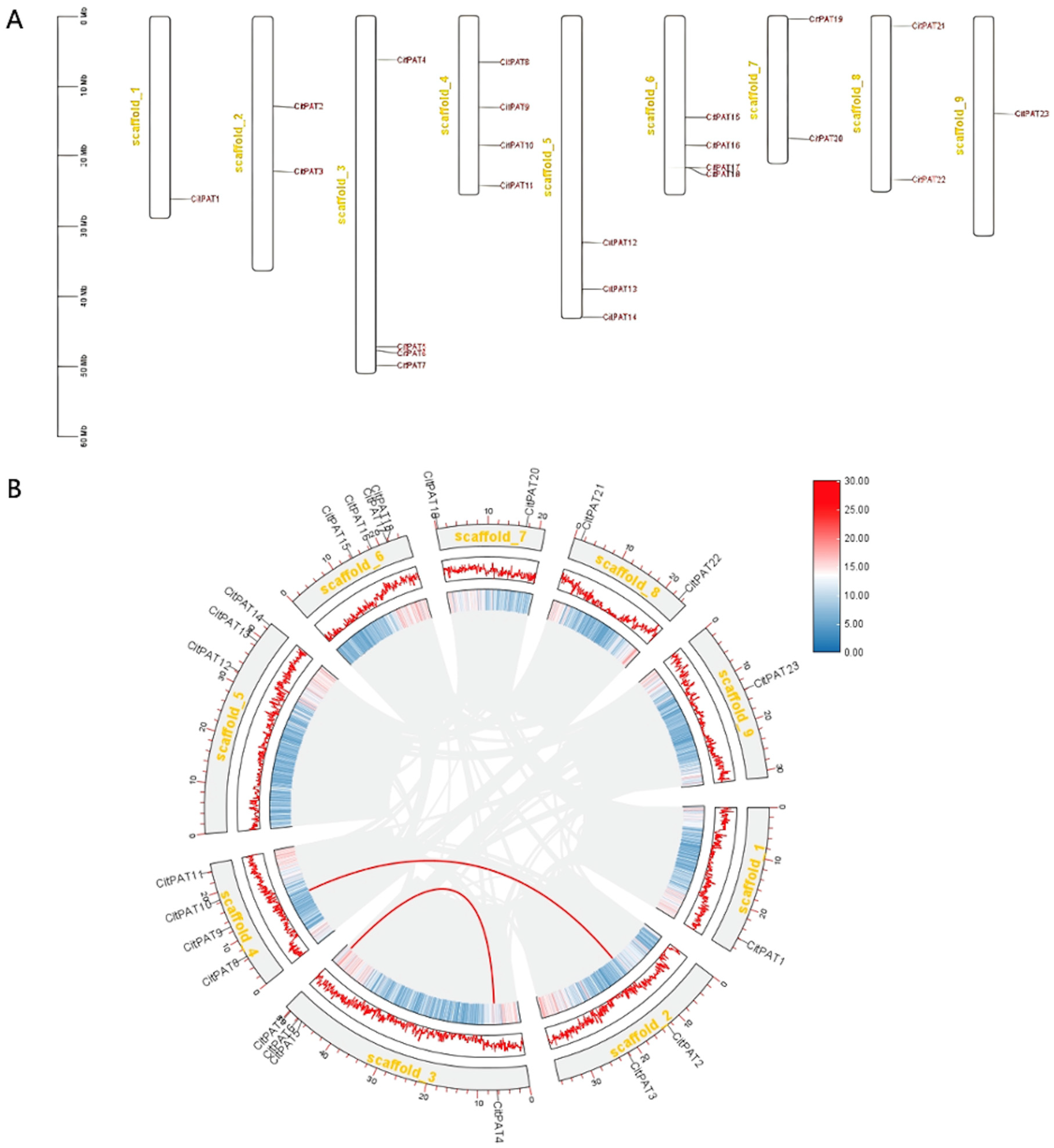 Agronomy 15 02350 g001a