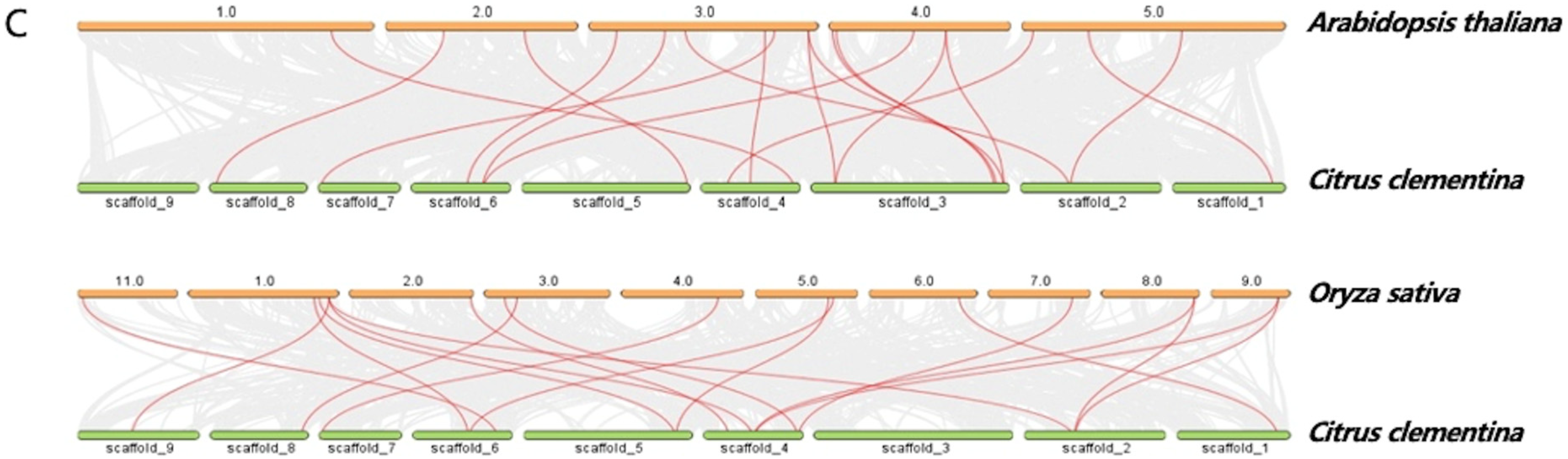 Agronomy 15 02350 g001b
