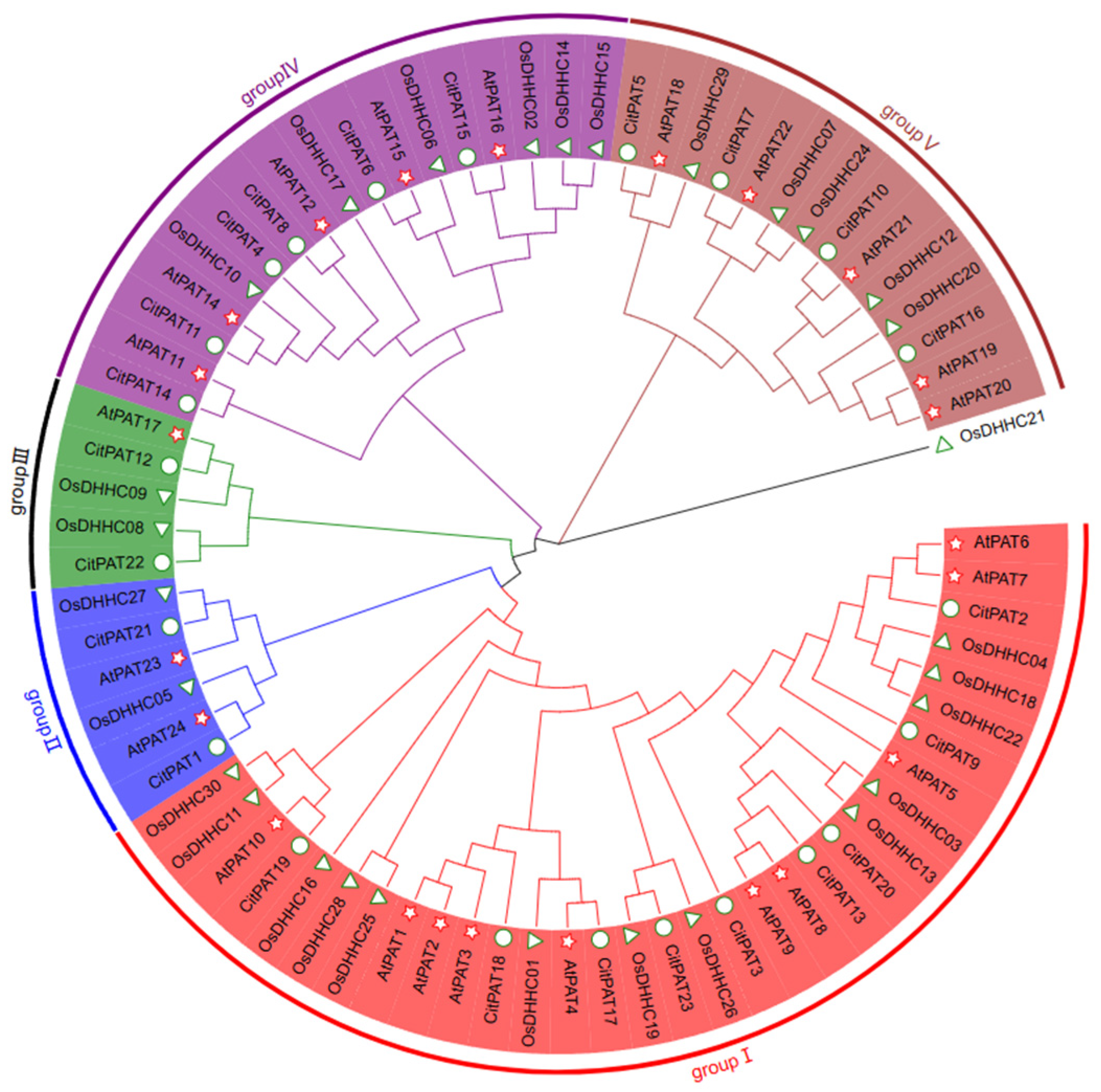 Agronomy 15 02350 g002