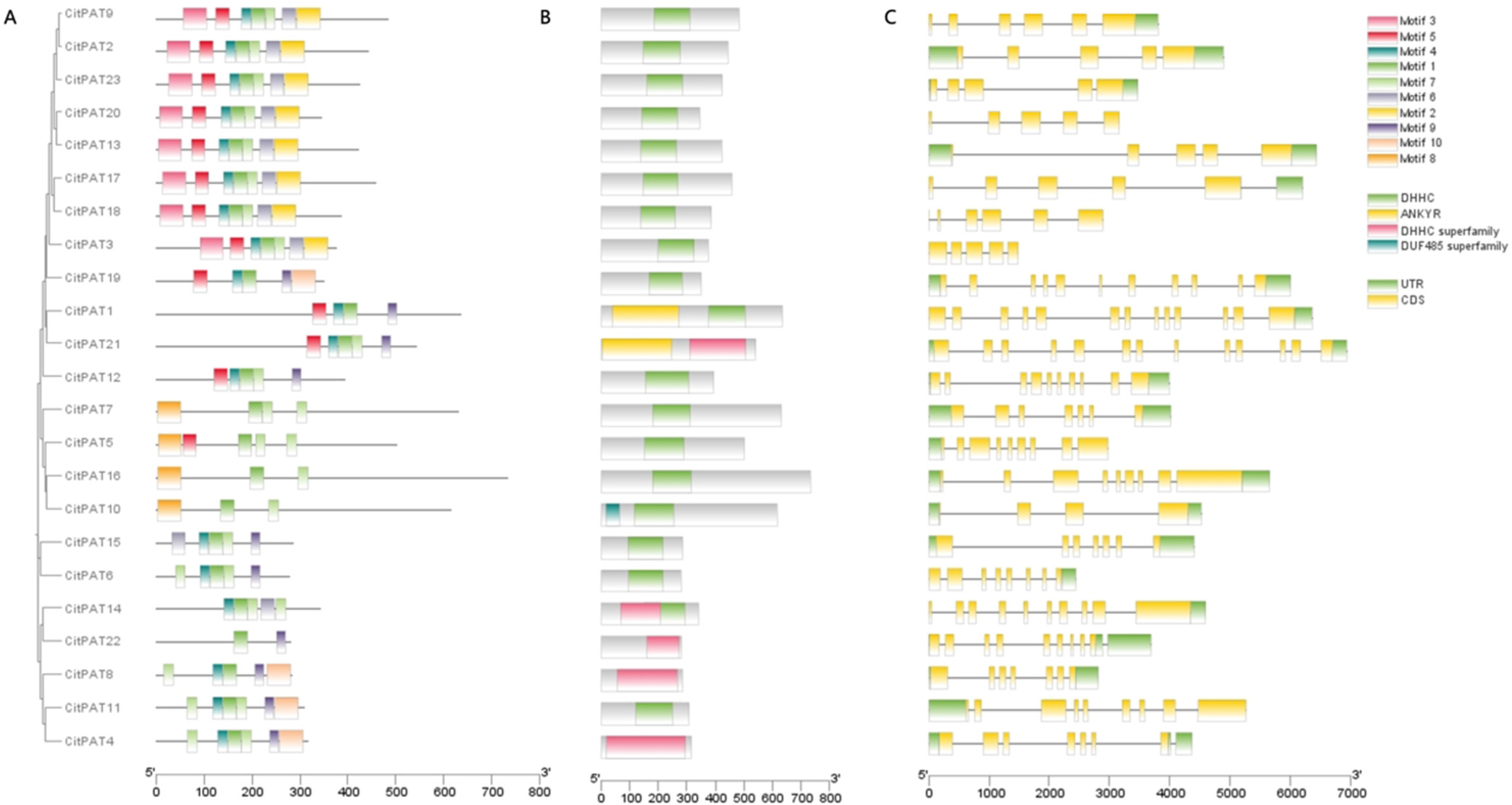 Agronomy 15 02350 g003