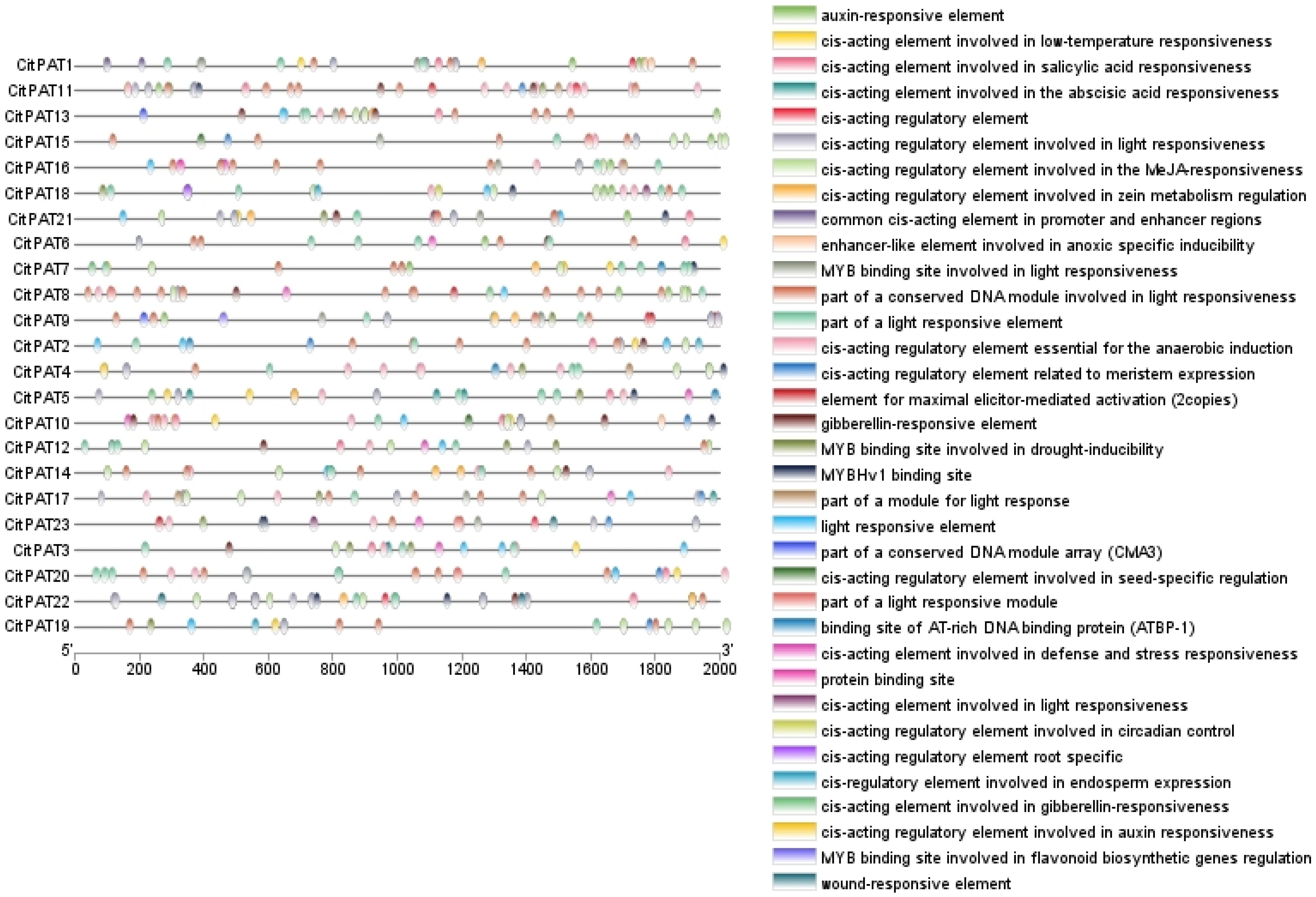Agronomy 15 02350 g004