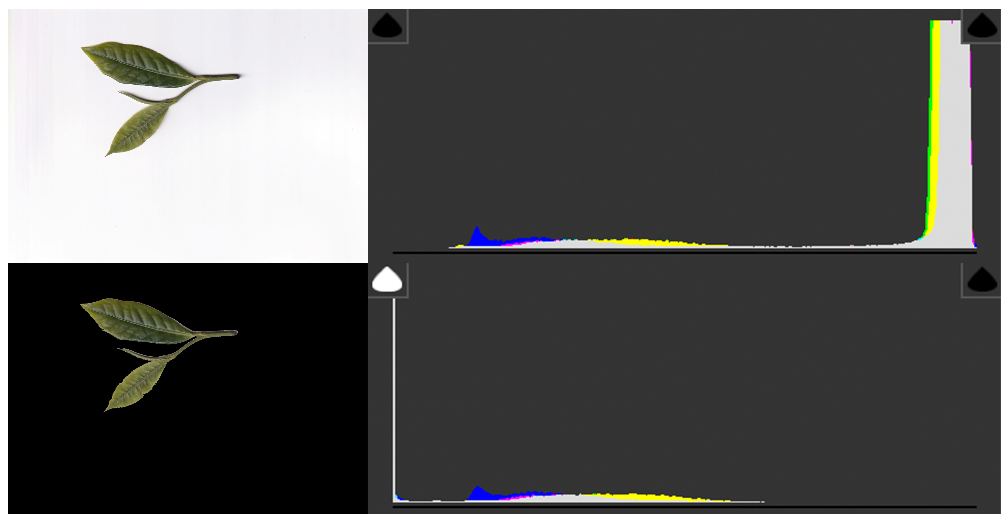 Agronomy 15 02355 g002