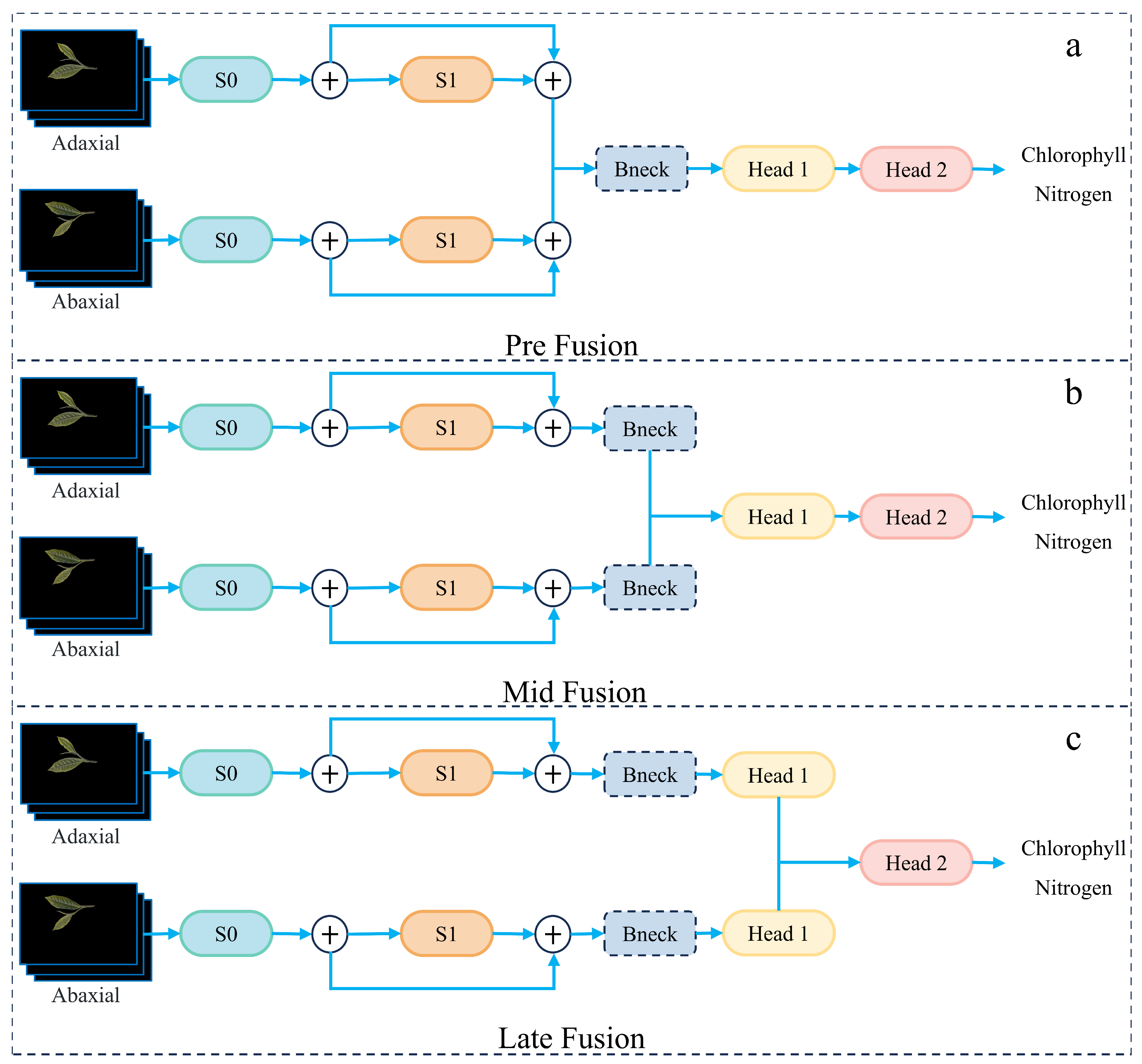 Agronomy 15 02355 g007