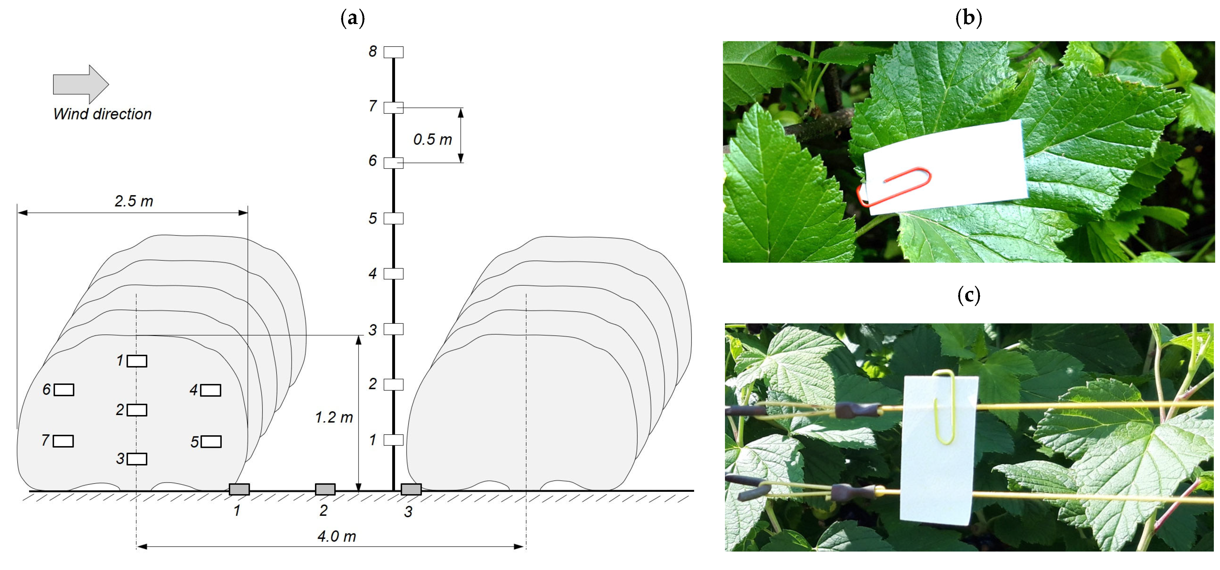 Agronomy 15 02360 g004
