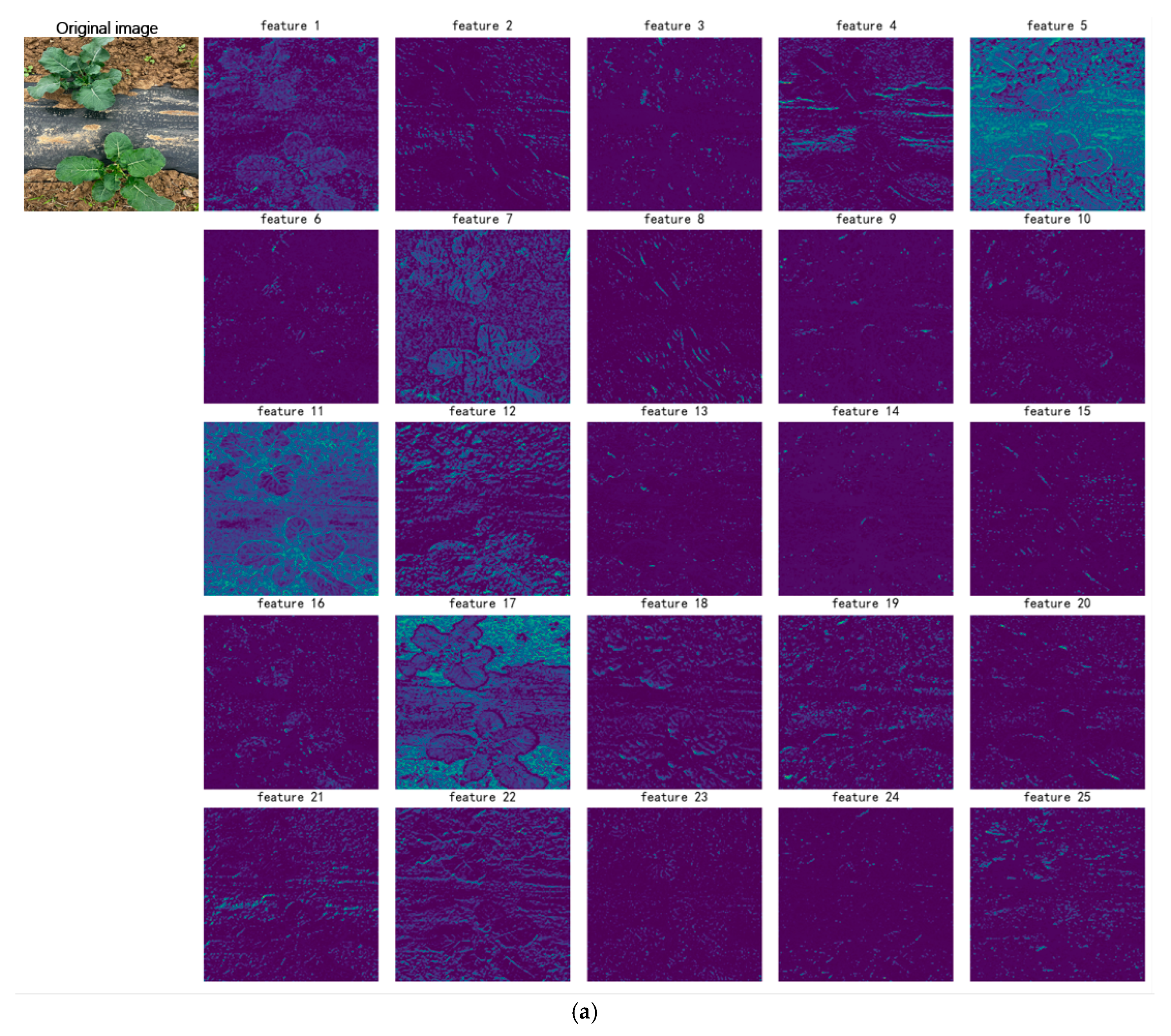 Agronomy 15 02361 g010a