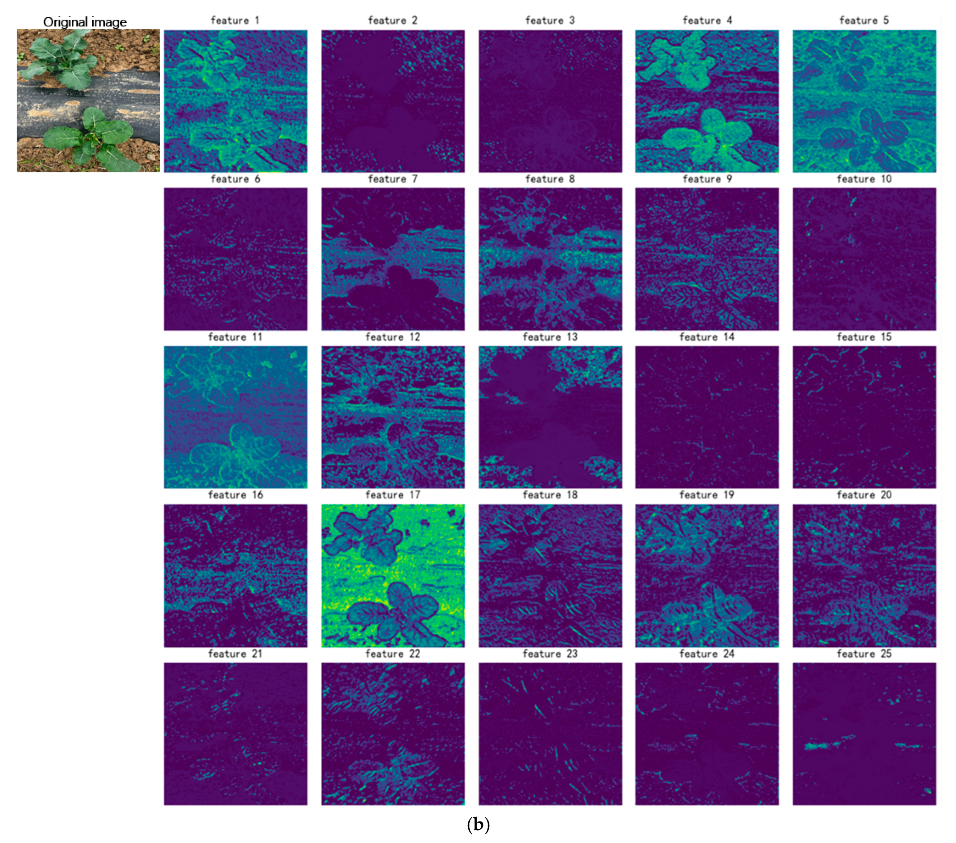 Agronomy 15 02361 g010b