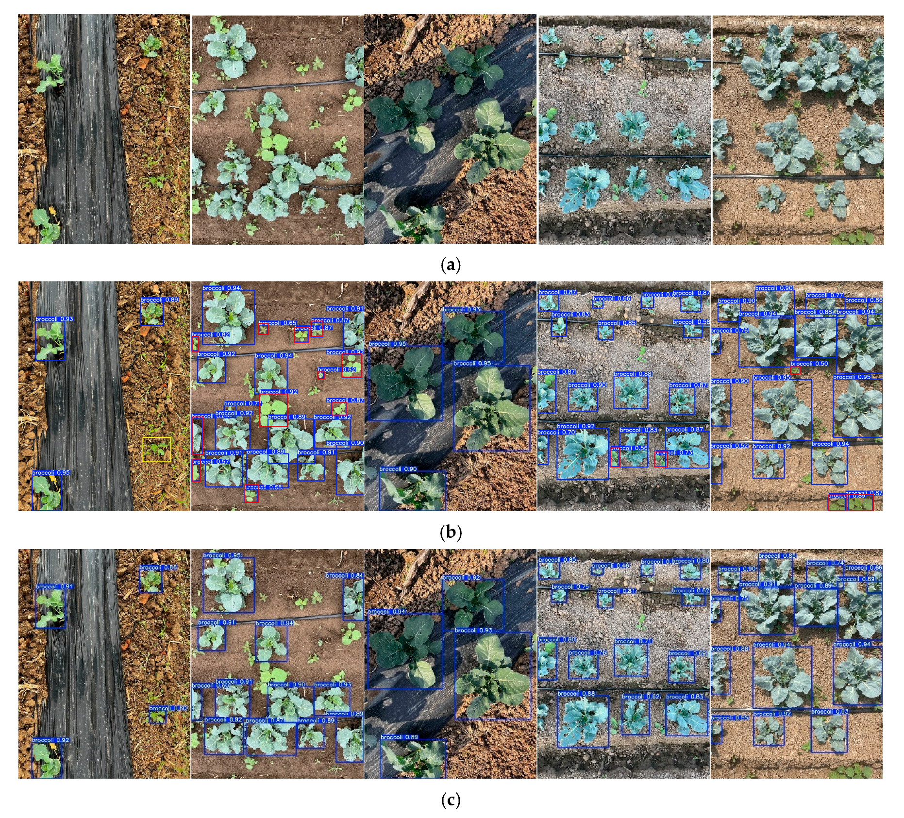 Agronomy 15 02361 g012