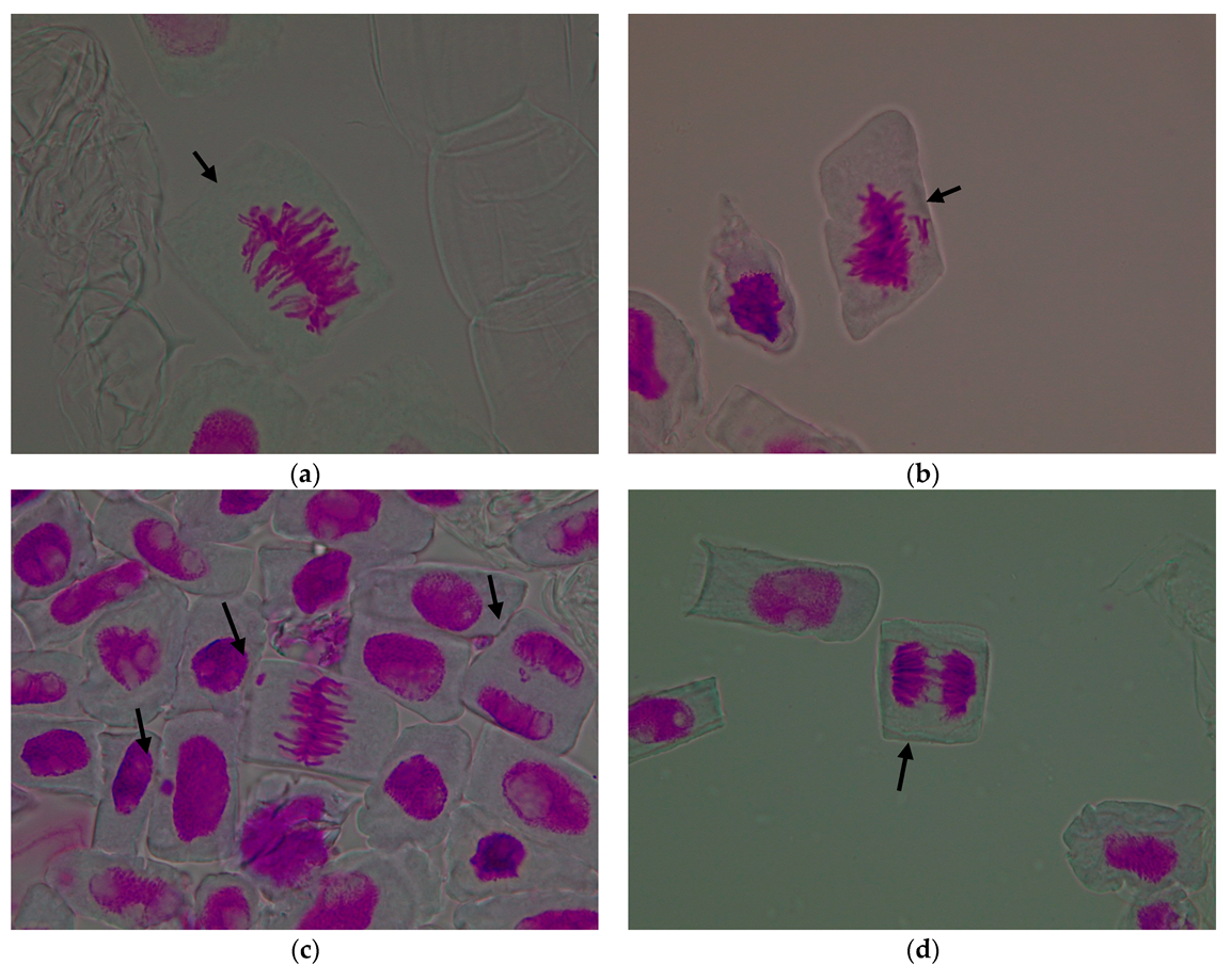 Agronomy 15 02364 g005a