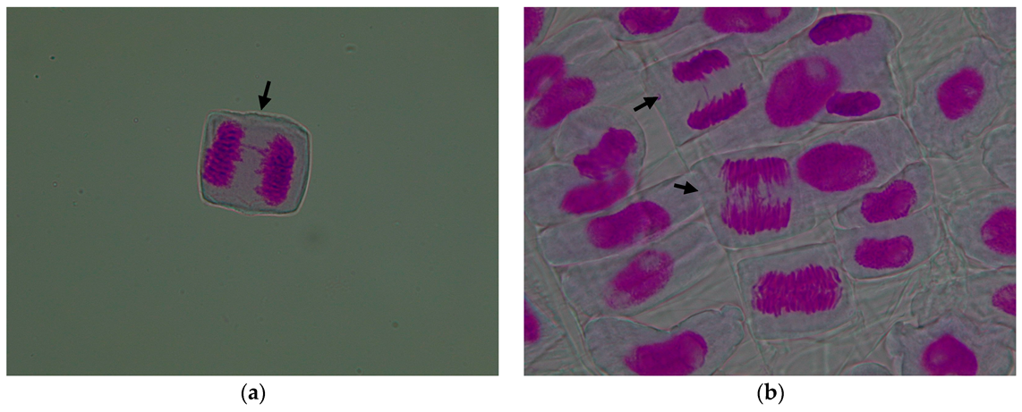 Agronomy 15 02364 g006a