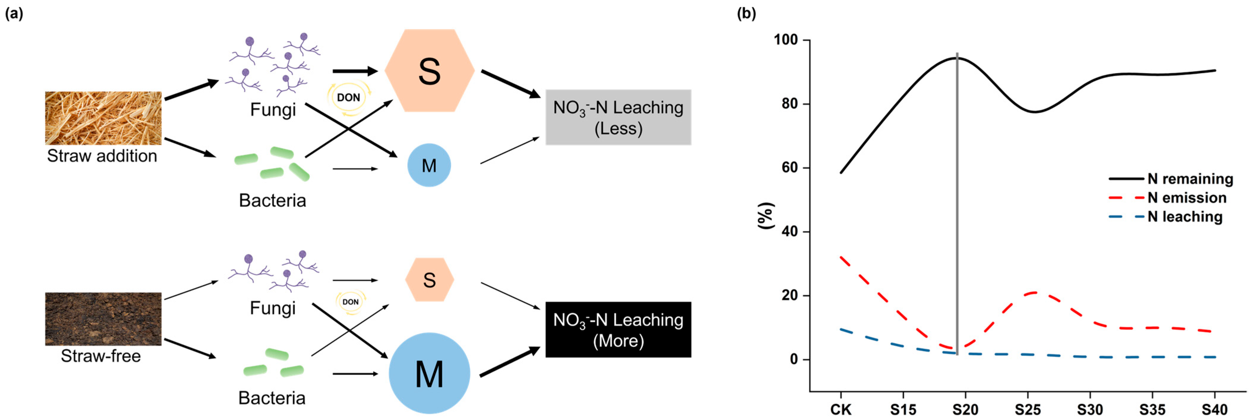 Agronomy 15 02371 g008 Agronomy 15 02371 g008