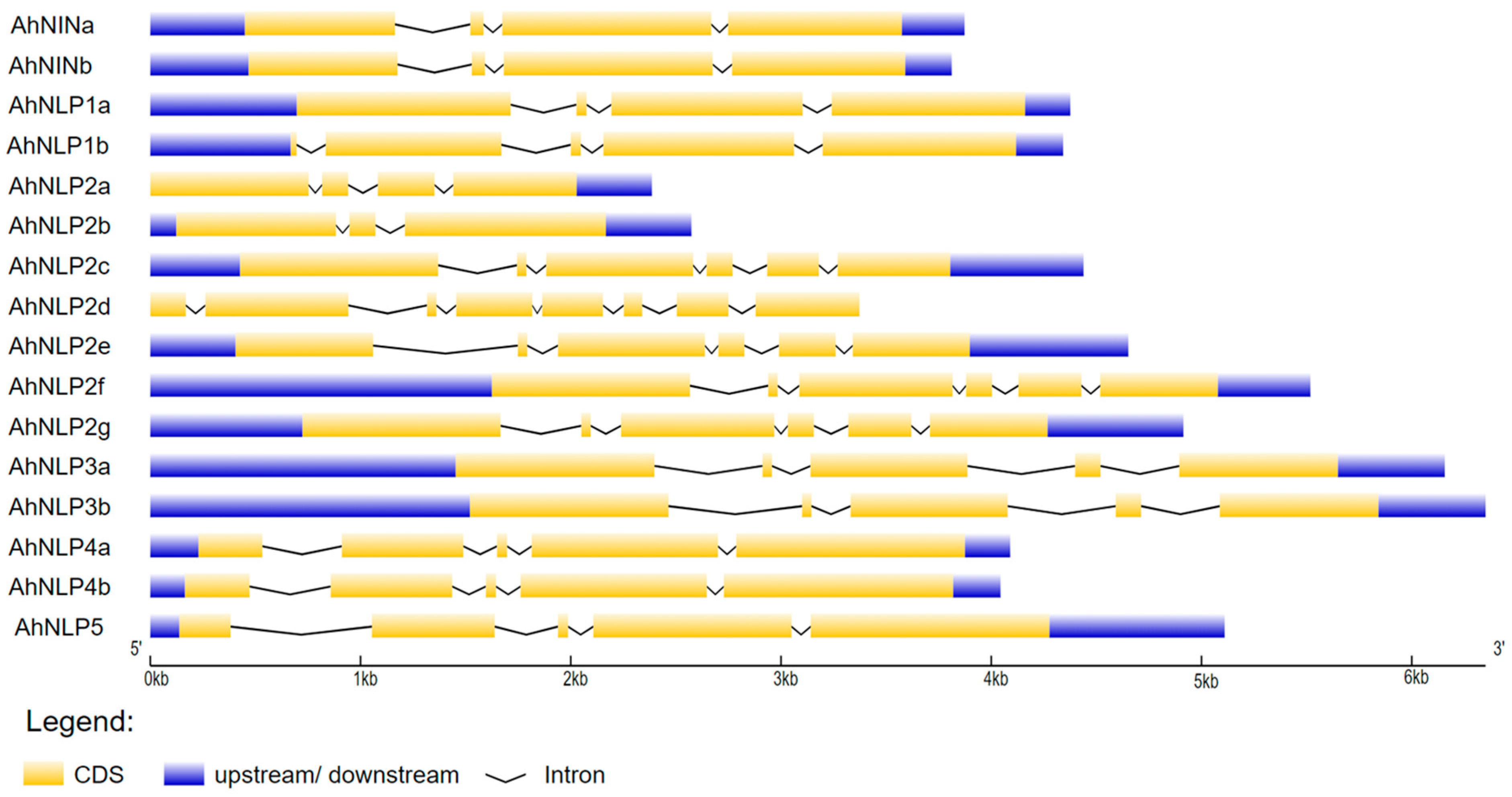 Agronomy 15 02377 g003 Agronomy 15 02377 g003