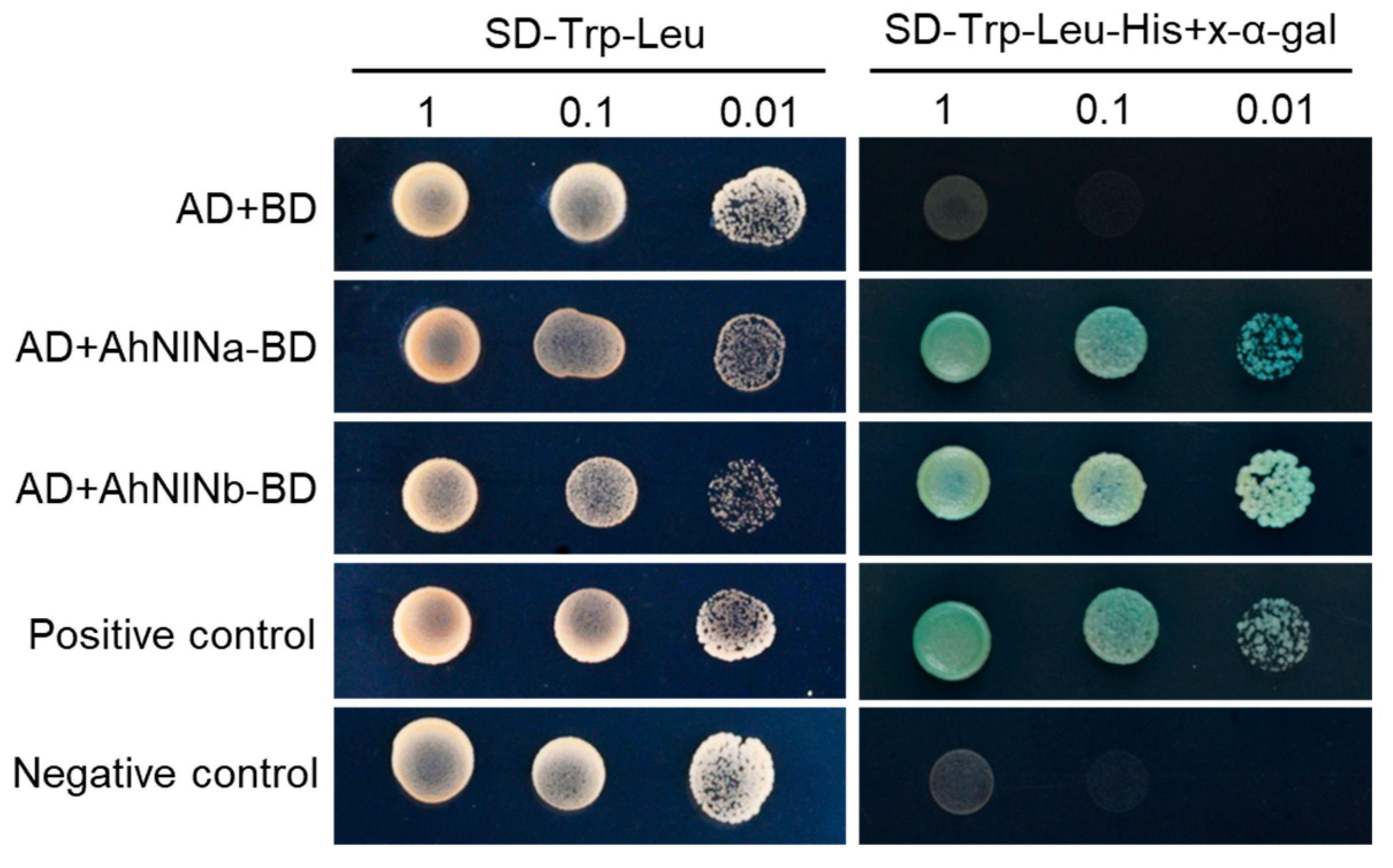 Agronomy 15 02377 g007 Agronomy 15 02377 g007