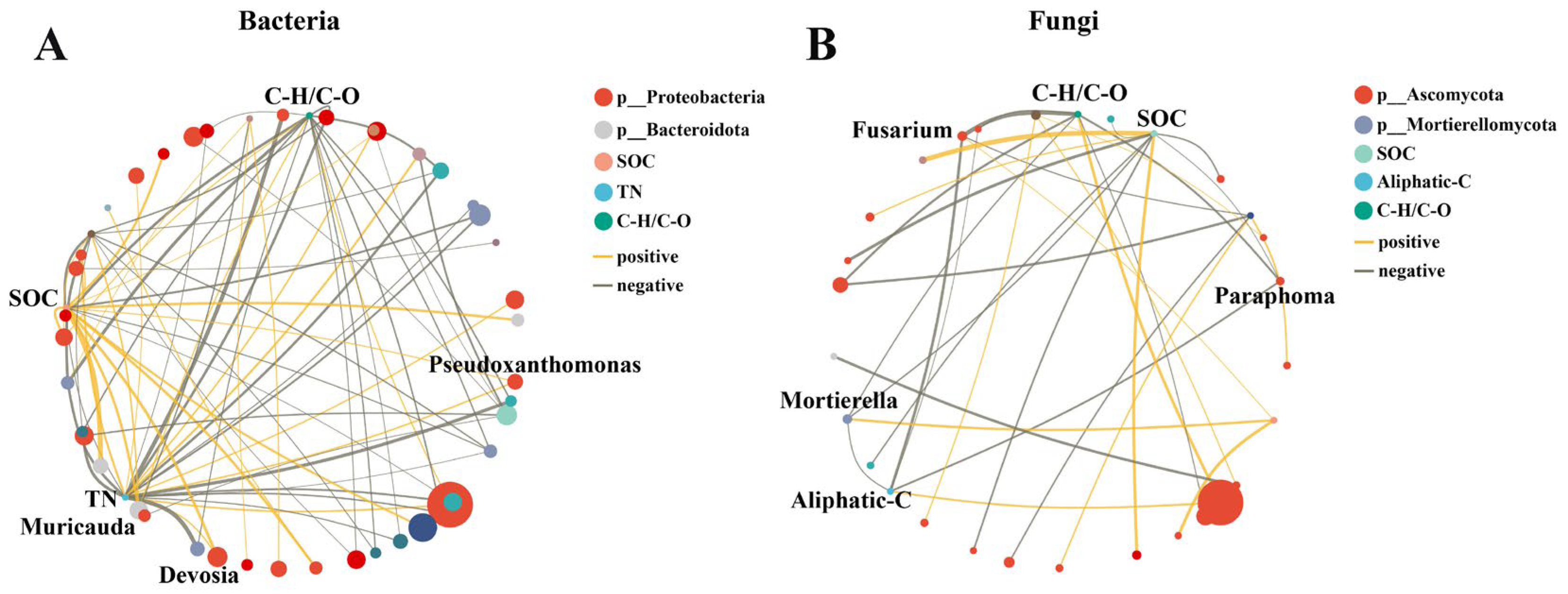 Agronomy 15 02382 g005