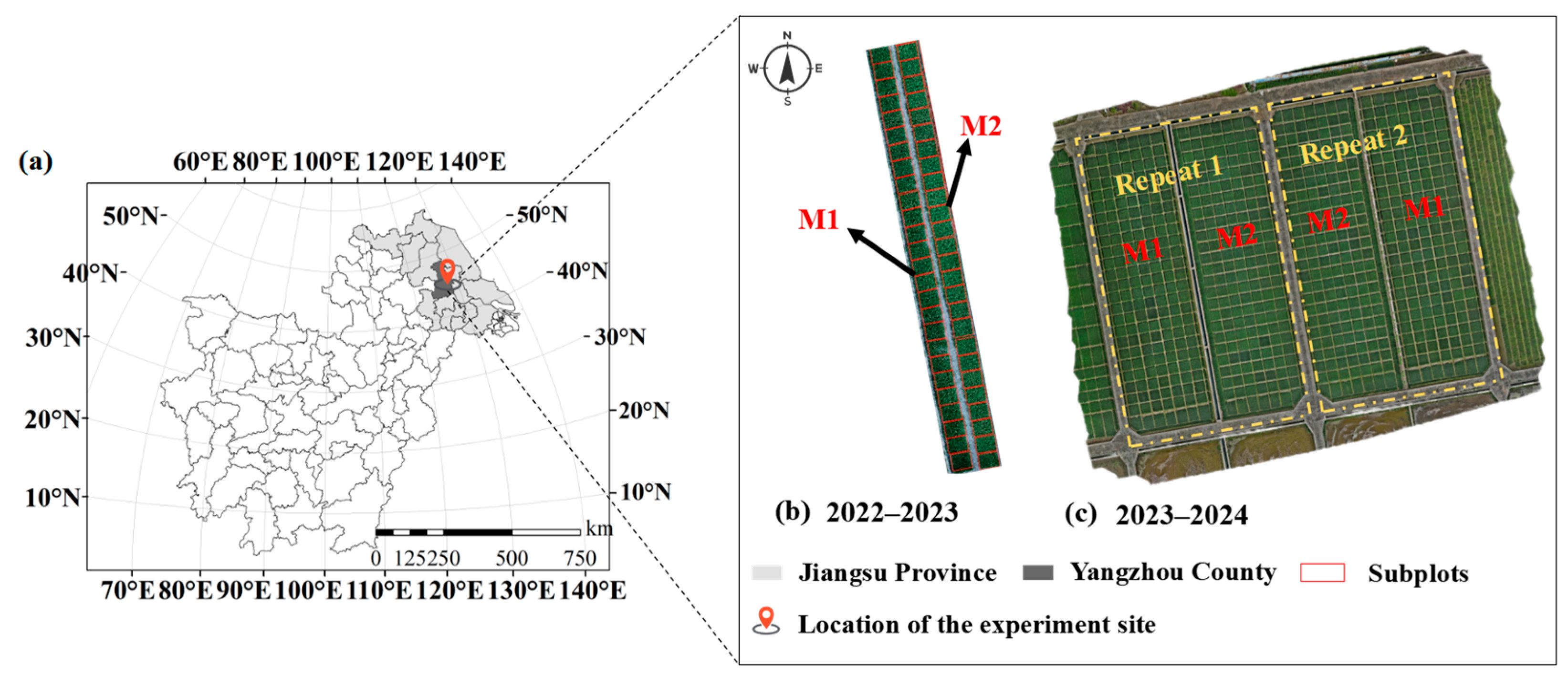 Agronomy 15 02384 g001
