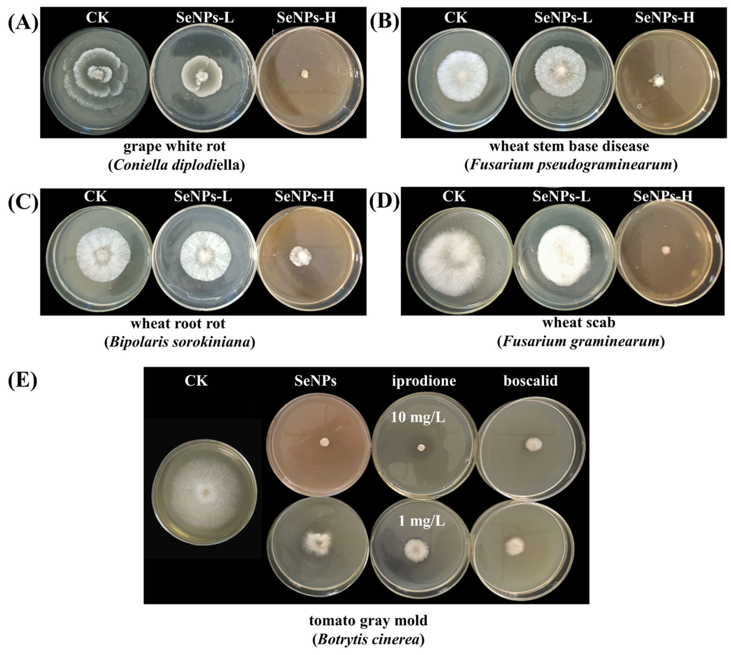 Agronomy 15 02385 g005 Agronomy 15 02385 g005