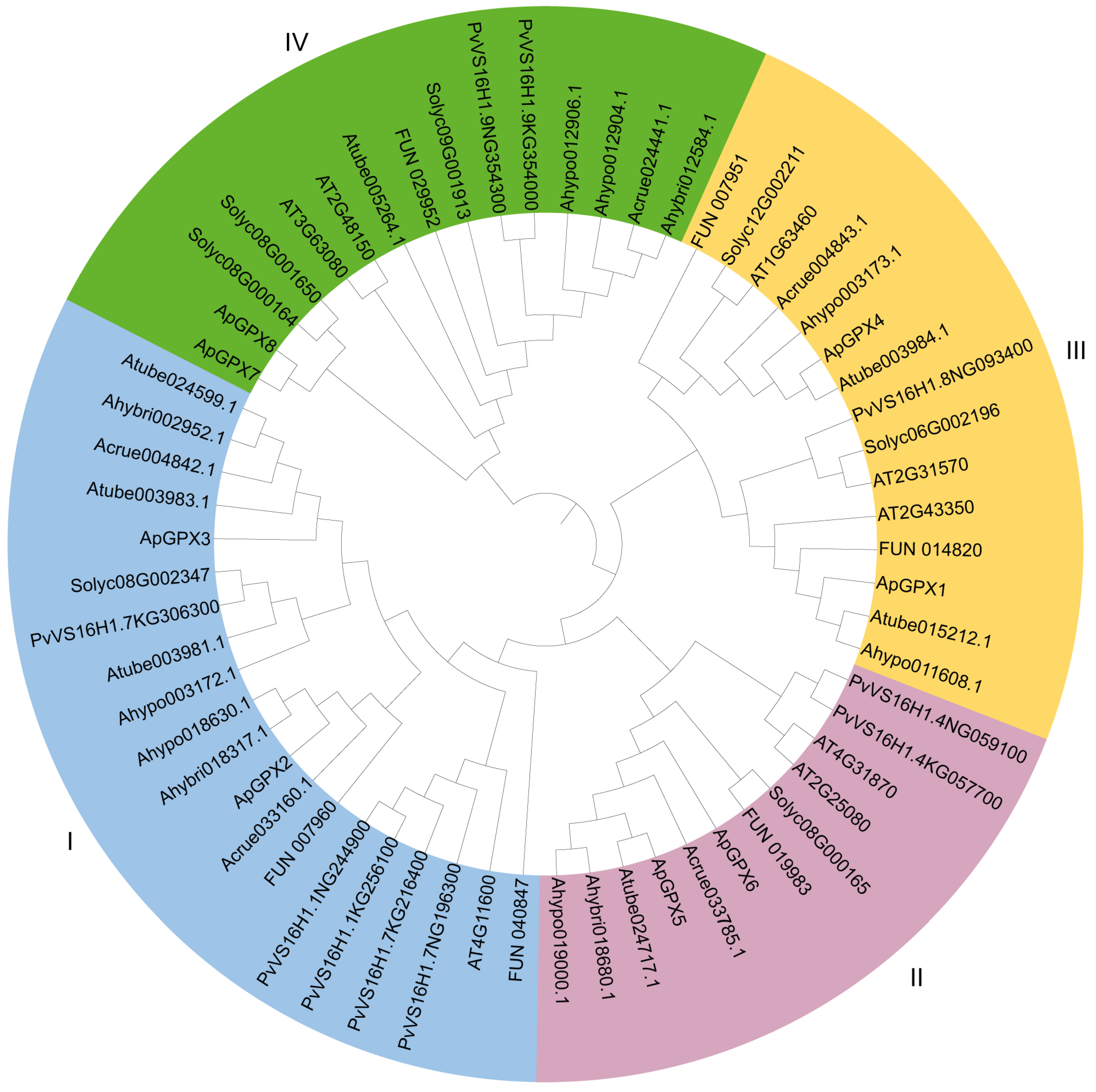 Agronomy 15 02386 g002 Agronomy 15 02386 g002