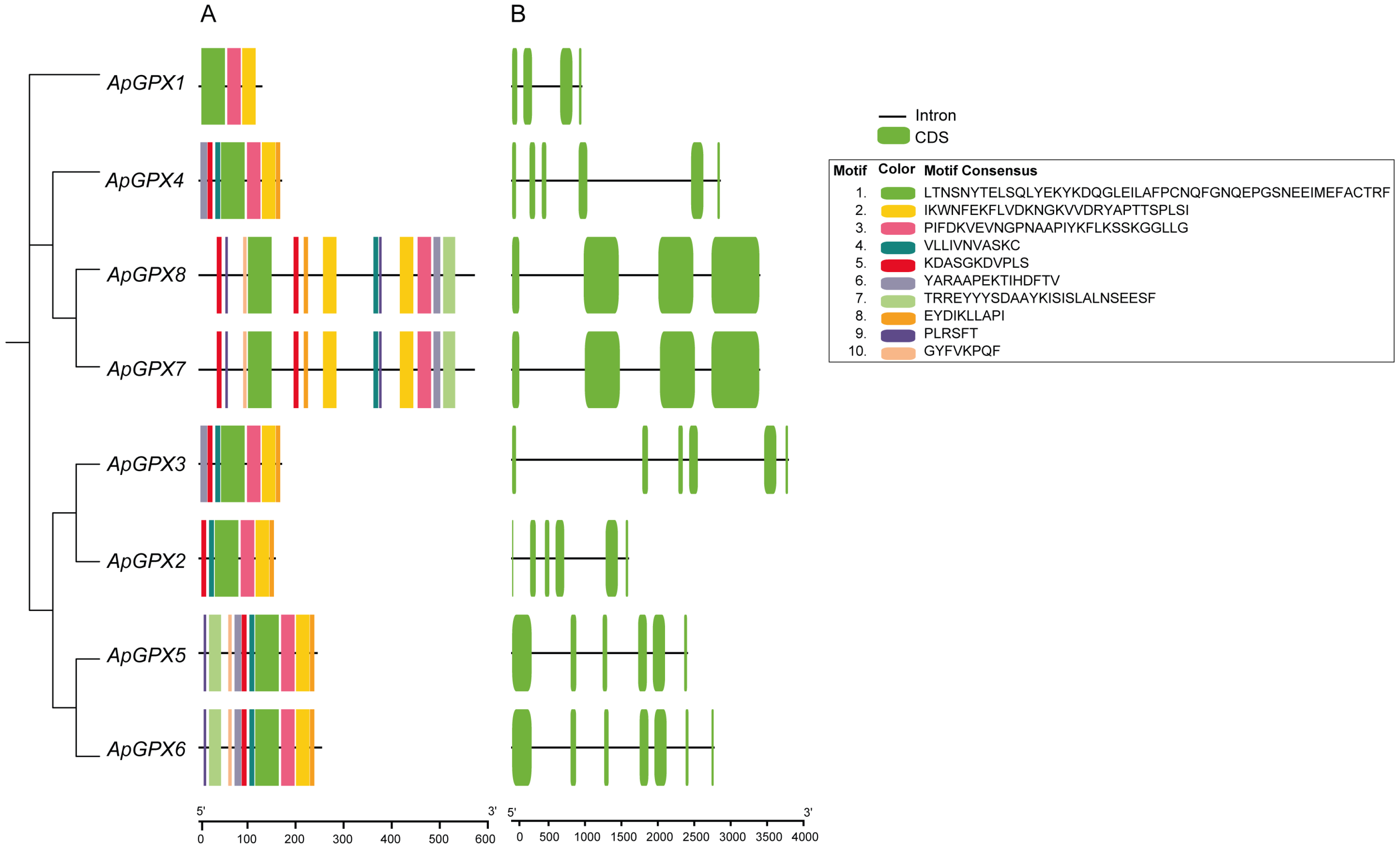 Agronomy 15 02386 g004 Agronomy 15 02386 g004